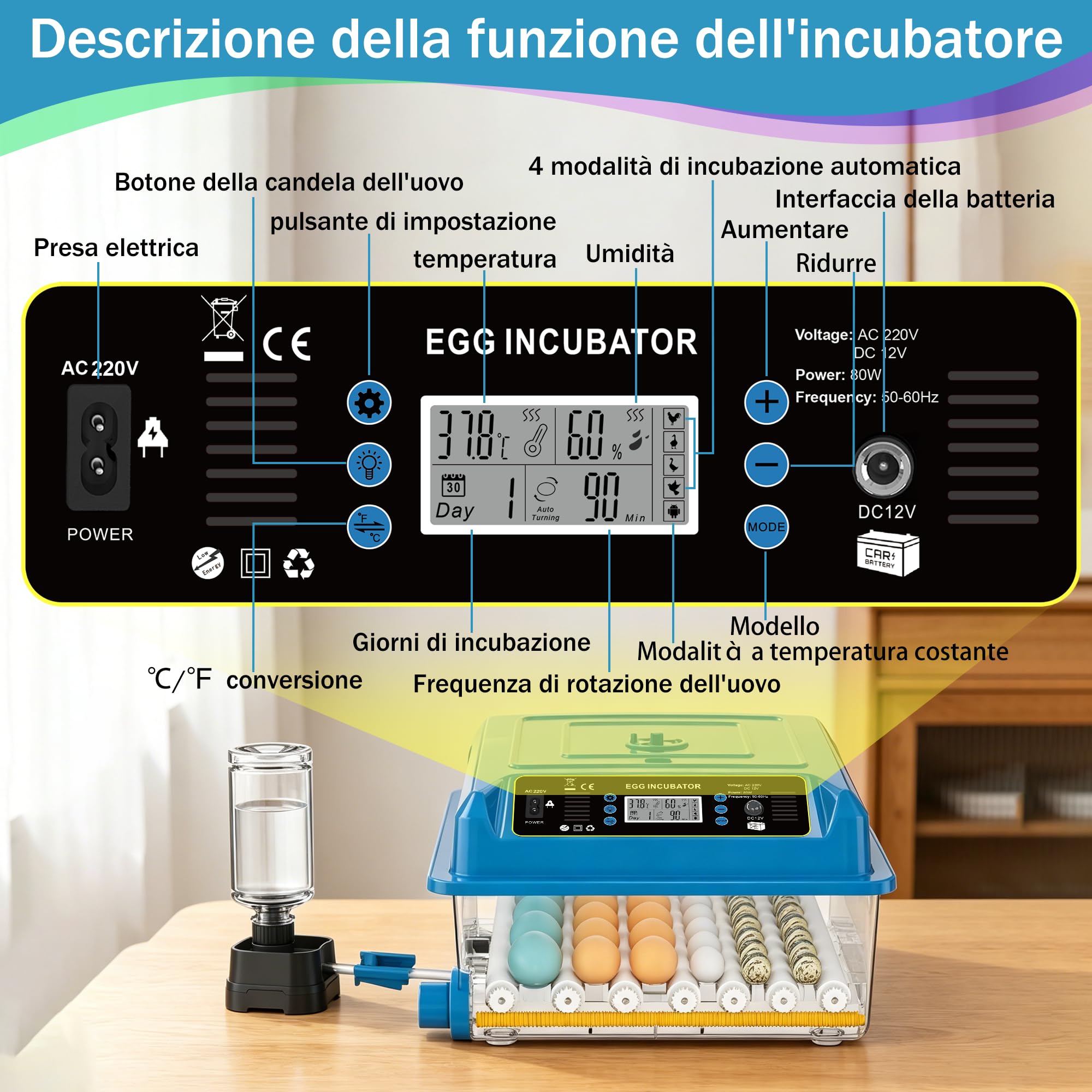 incubatrice automatica 36 uova, 5 modalità cova auto, regolatore acqua esterno, controllo temperatura, rotazione uova auto, display cova, per galline anatre oche (Blu)