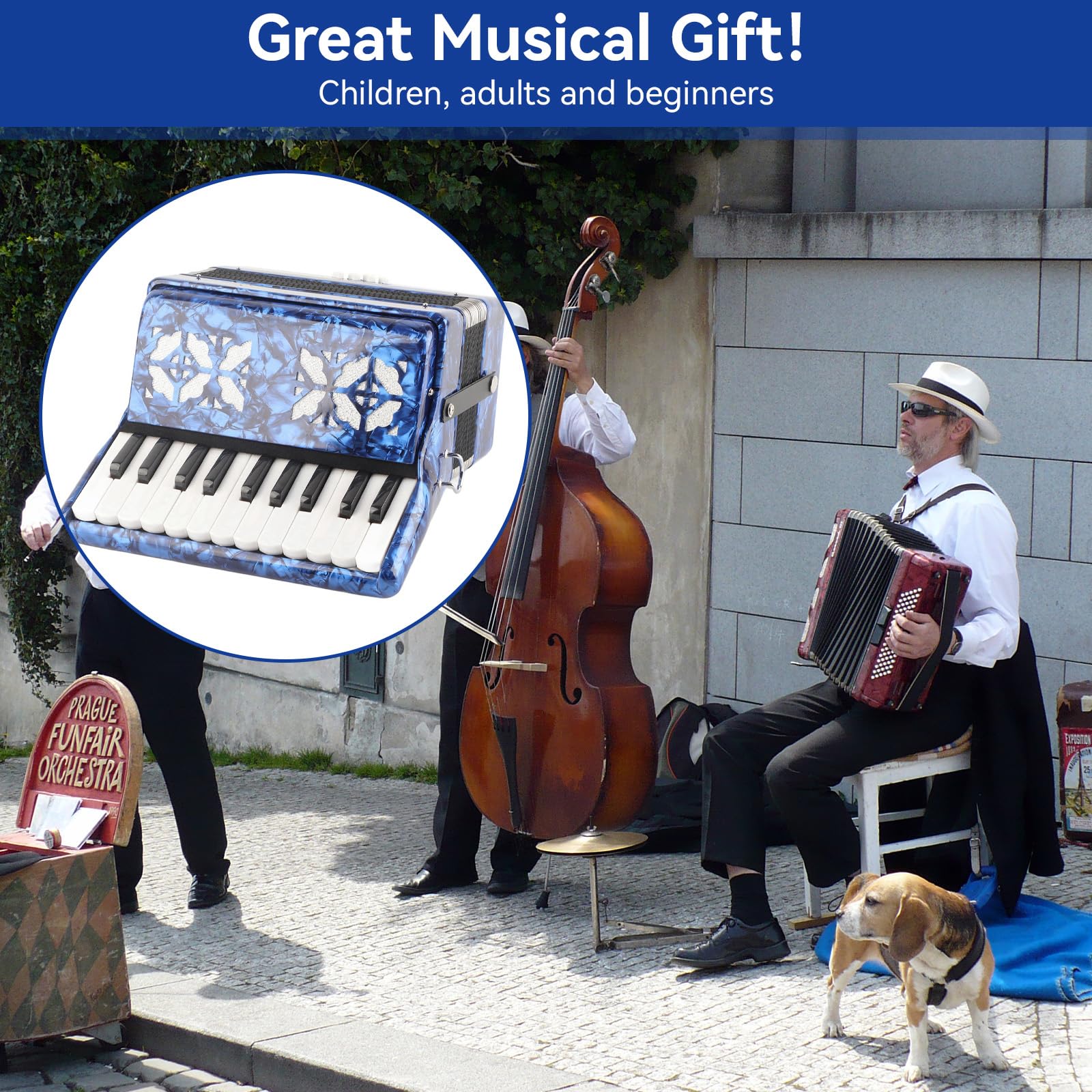 Accordéon Professionnel, Clé 8 Basse, ABS et Bois Massif, Soufflet en Cuir de Vachette, Instrument de Musique Accordéon pour Adulte, Débutant, Cadeau d'anniversaire, Performance Musicale