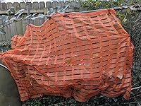 Review Image by Tammy Tammy