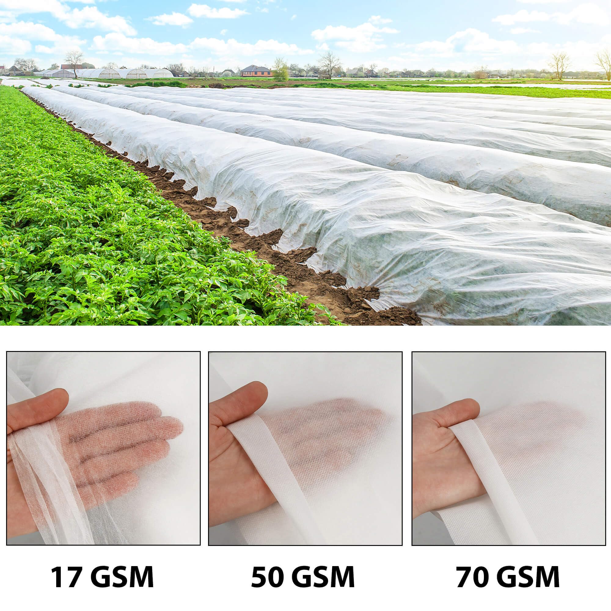 SPRINGOS Biała włóknina ogrodowa PP włóknina zimowa 1,6 x 100 m 70 g/m²
