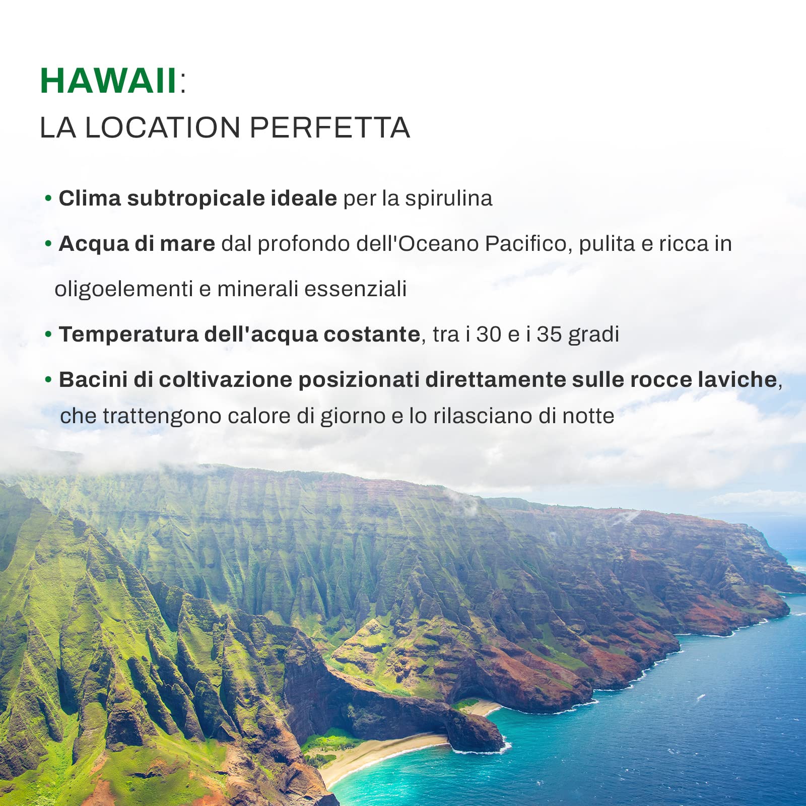 MARCUS ROHRER SPIRULINA delle Hawaii, 180 Compresse, Integratore Alimentare Naturale a base di Alga, Energia e Supporto Immunitario, Pelle e Capelli, Vegan