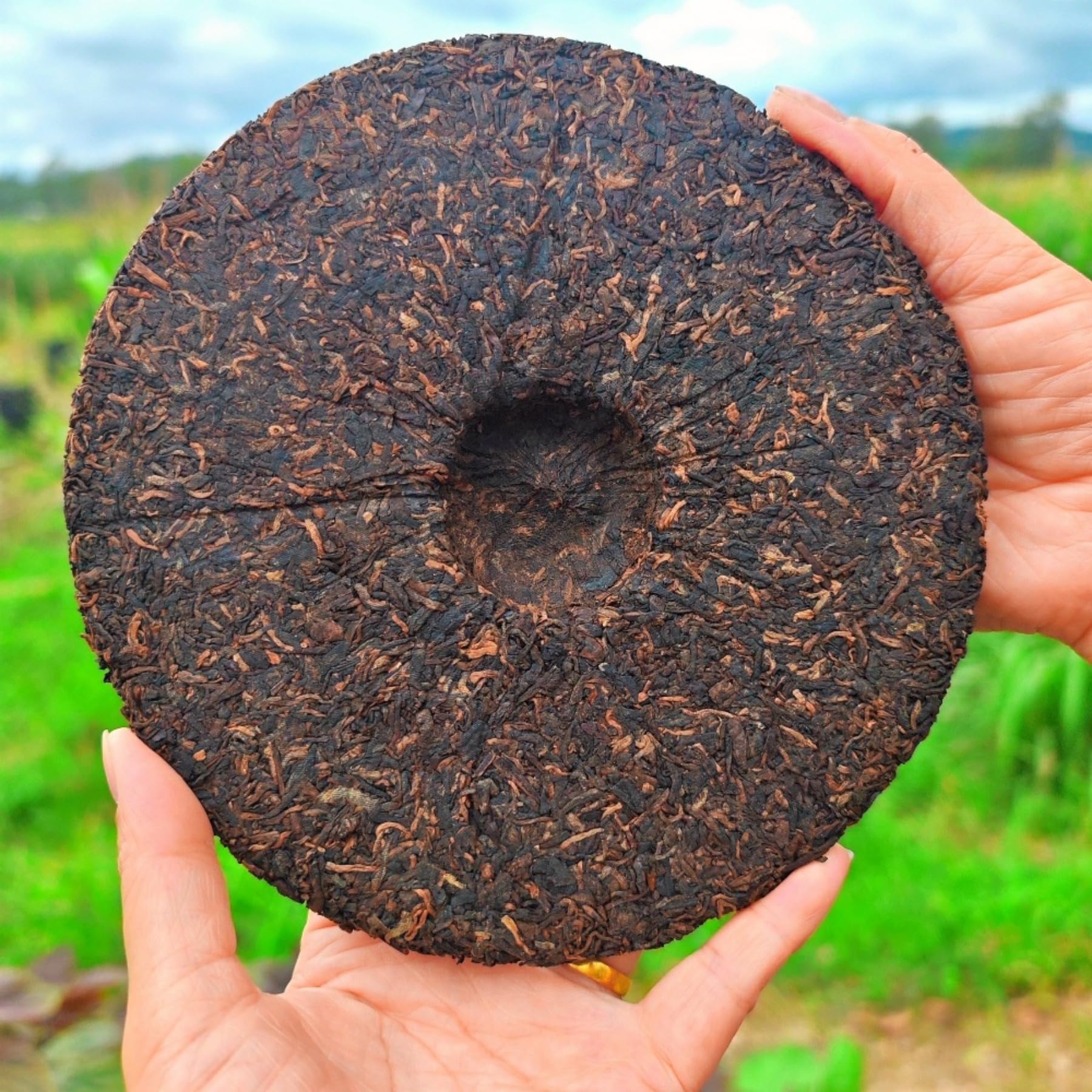 Herbata Yunnan Pu'er, herbata czarna 357g / 12,59 uncji dojrzałej herbaty Menghai Bulang Mountain, pyszna i kojąca