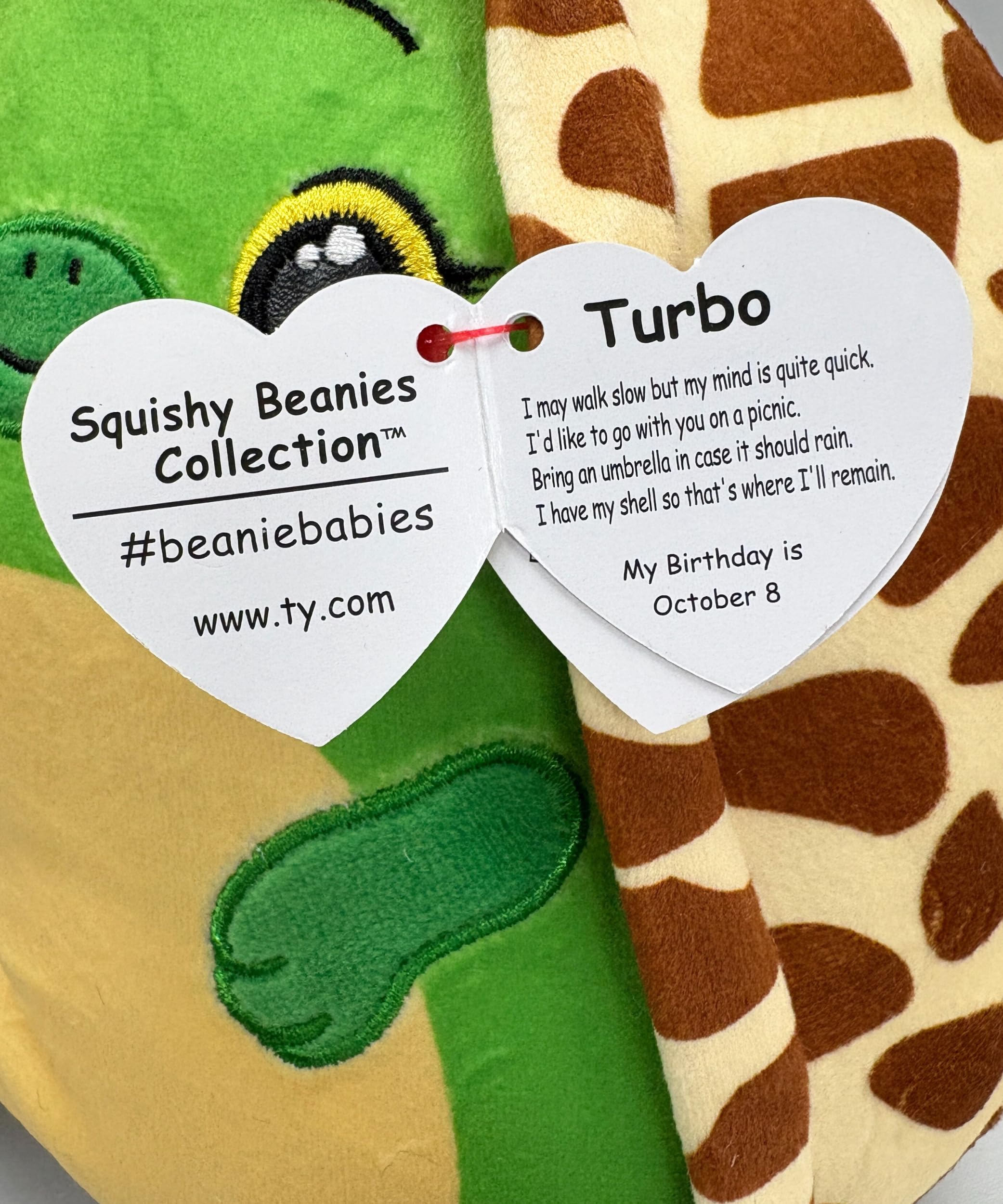TY Squishy Beanies - Turbo la Tartaruga, Morbido Cuscino di Peluche con Occhioni Gialli, Idea Regalo per Grandi e Piccini, Tutti da Collezionare - 22 cm - T39396