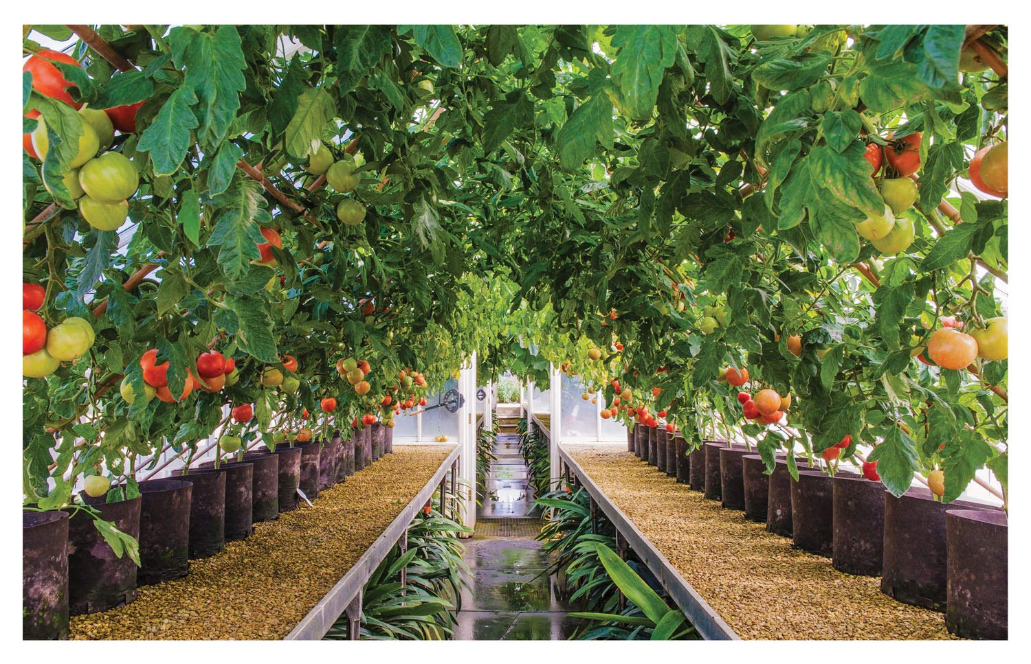Paradise and Plenty: A Rothschild Family Garden