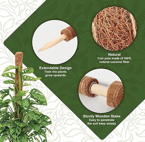 Miniatura 3 de Poste de musgo  Poste de musgo de fibra de coco de 17 pulgadas y 14 pulgadas para plantas MonsteraEstacas para plantas trepadoras  Lazos y cuerda de