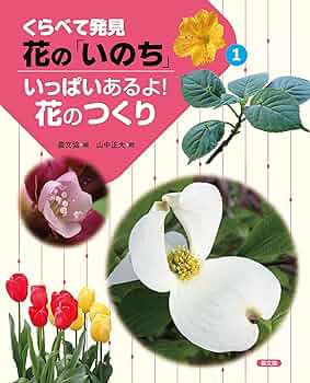 年代物　花　絵　本 いっぱいあるよ!花のつくり (1) (くらべて発見花の「いのち」 1