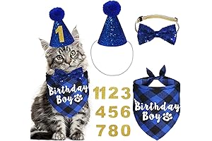 Celebrate Your Cats Birthday in Style