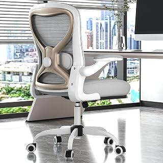 Casasio Ergonomic Office Chair: Adjustable Lumbar Support, 3.54" Thick Cushion, Flip-Up Arms, Breathable Mesh Back for Home Office
