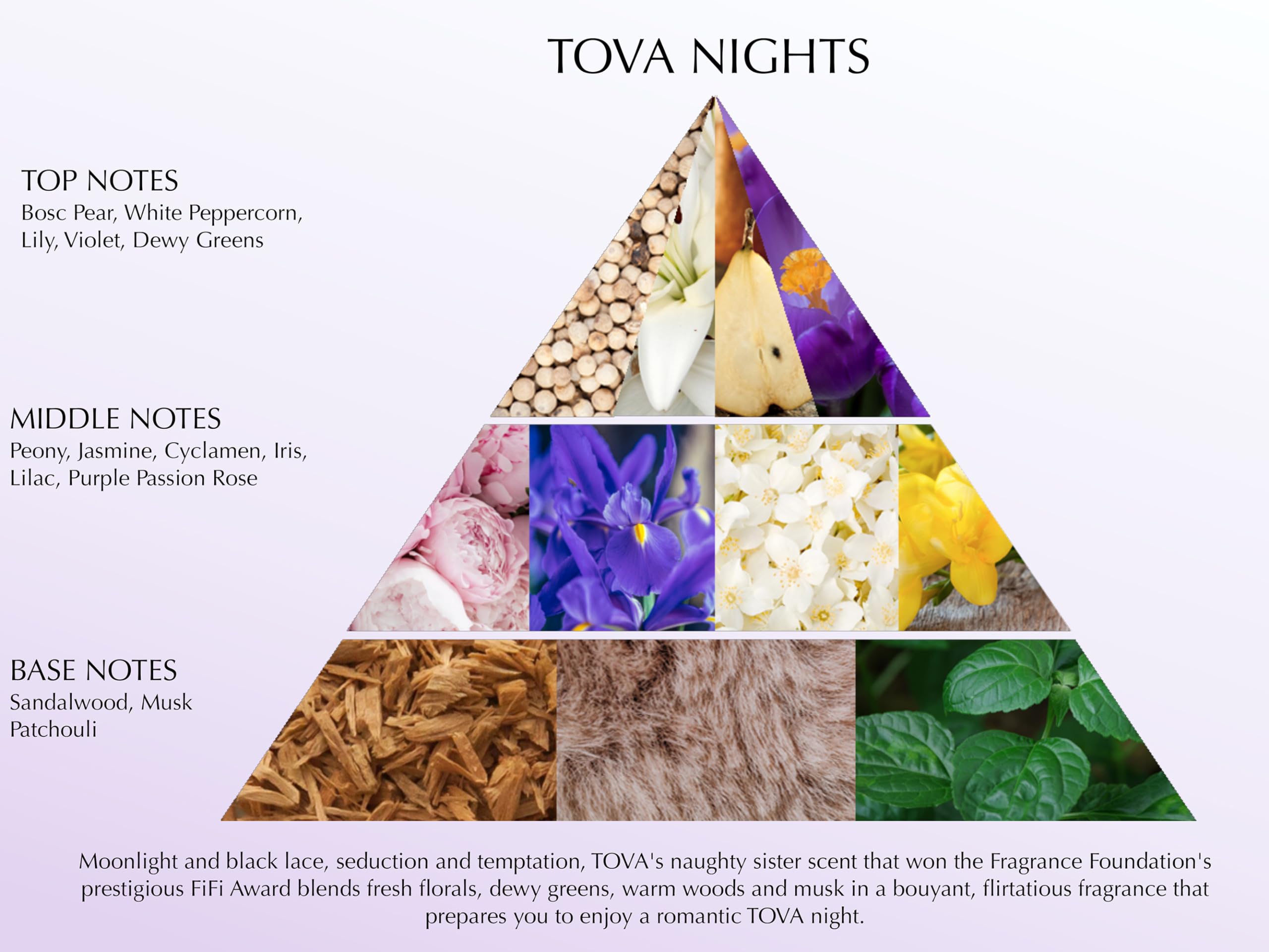 Amazon.com : Tova Nights Eau de Parfum – Award-Winning Floral Musk 