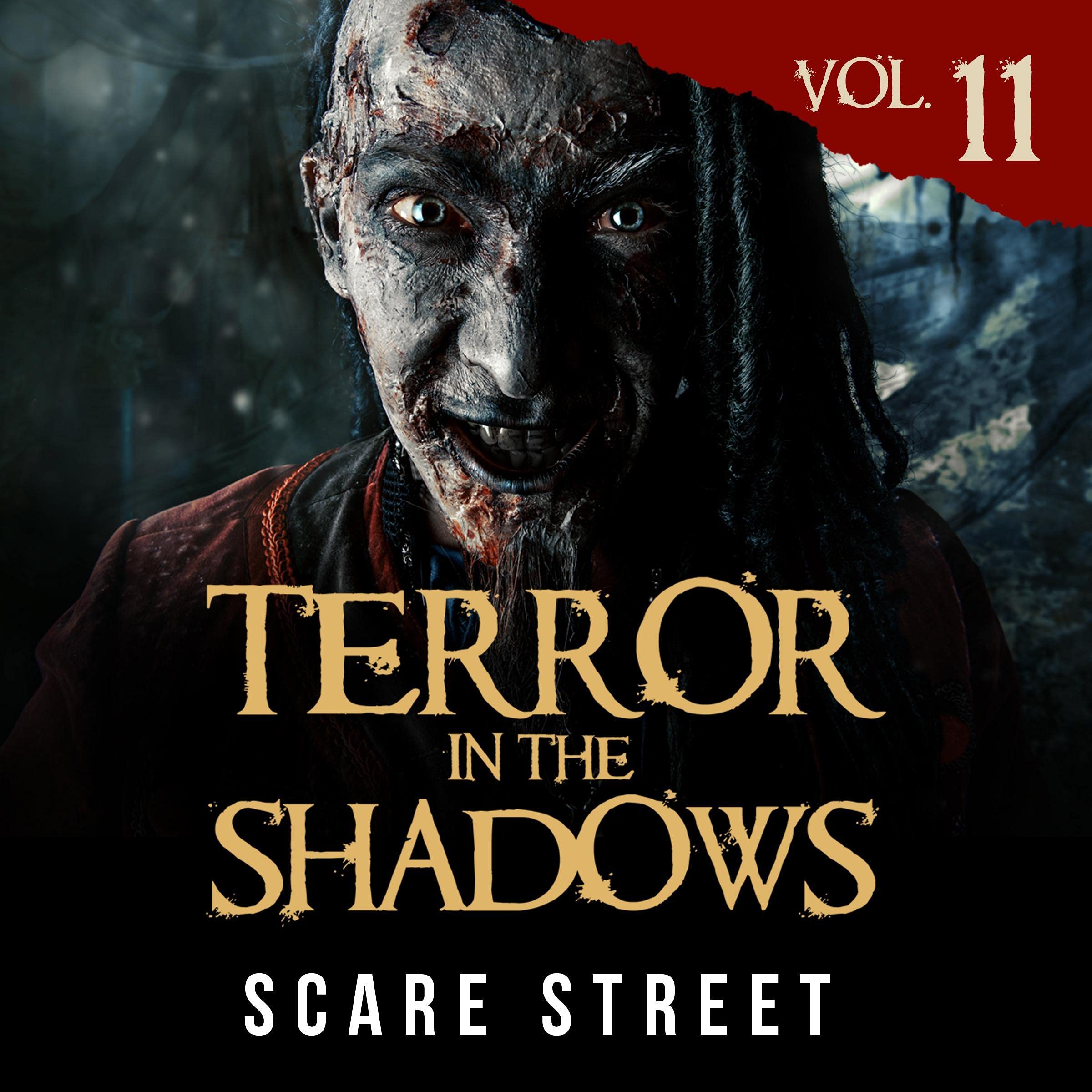 Cover art for Terror in the Shadows Vol. 11