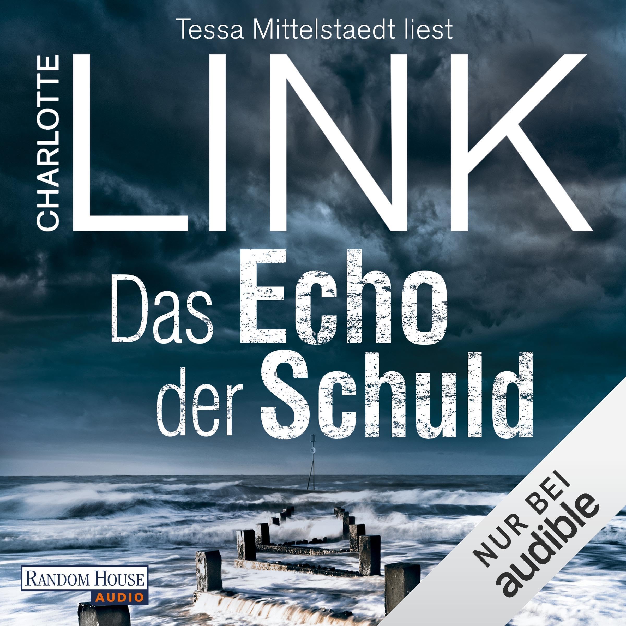 Das Echo der Schuld
