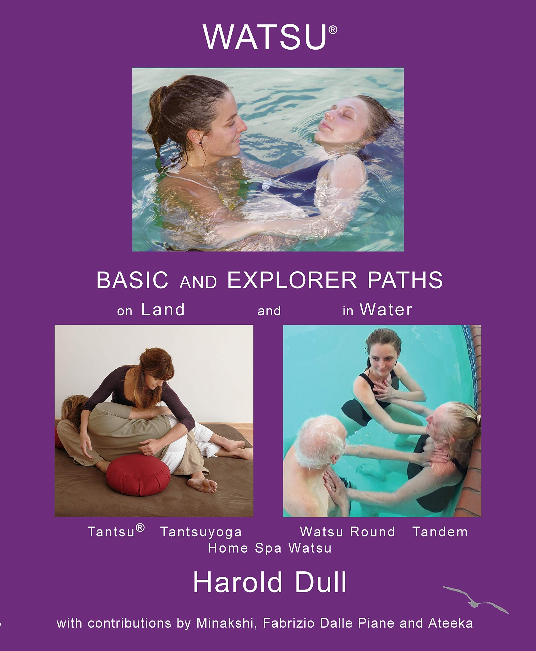 Watsu Basic and Explorer Paths on Land and in Water