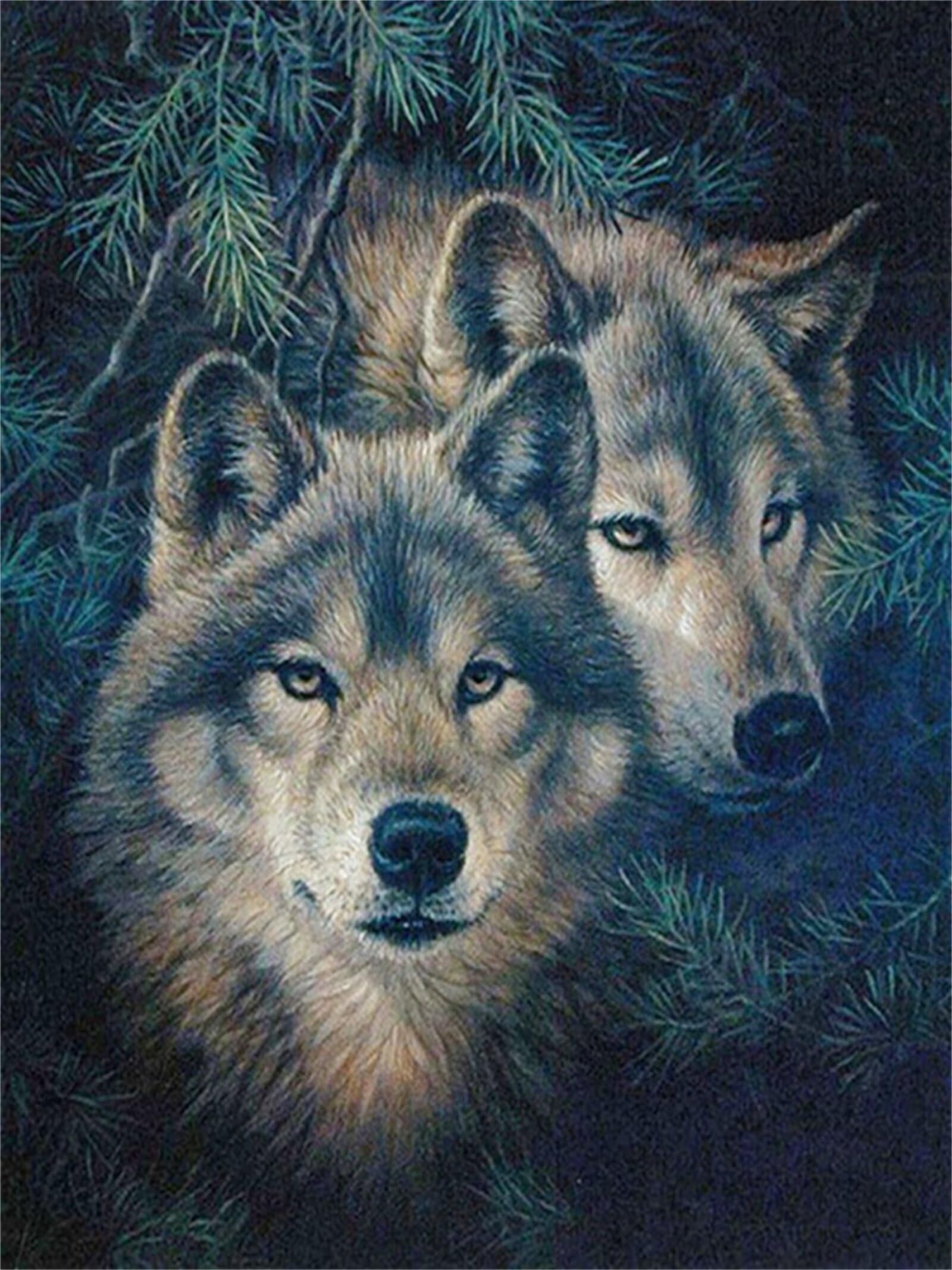 70x100cm Grand Format Diamond Painting Couple de loups, Point de Croix Kit de Broderie Diamant Peinture, DIY 5D Diamant Painting, Canevas Kit Complet Diamant Art Craft Maison Murale Decor Gift Z-6530