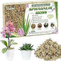 Vista 15 de Halatool Musgo esfagnum prémium de 3.6 onzas para plantas de interior, mezcla para macetas de musgo de orquídea de 4 cuartos de galón, musgo