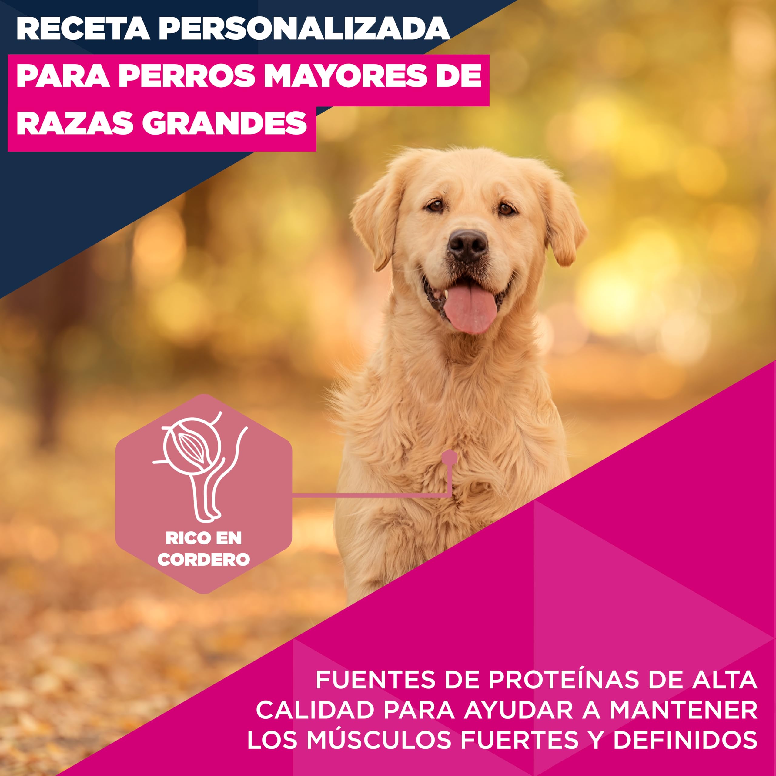 Eukanuba, alimento seco para Edad Avanzada con Cordero y arroz para Razas Grandes - Alimento seco Premium para Perros Senior, 12 kg