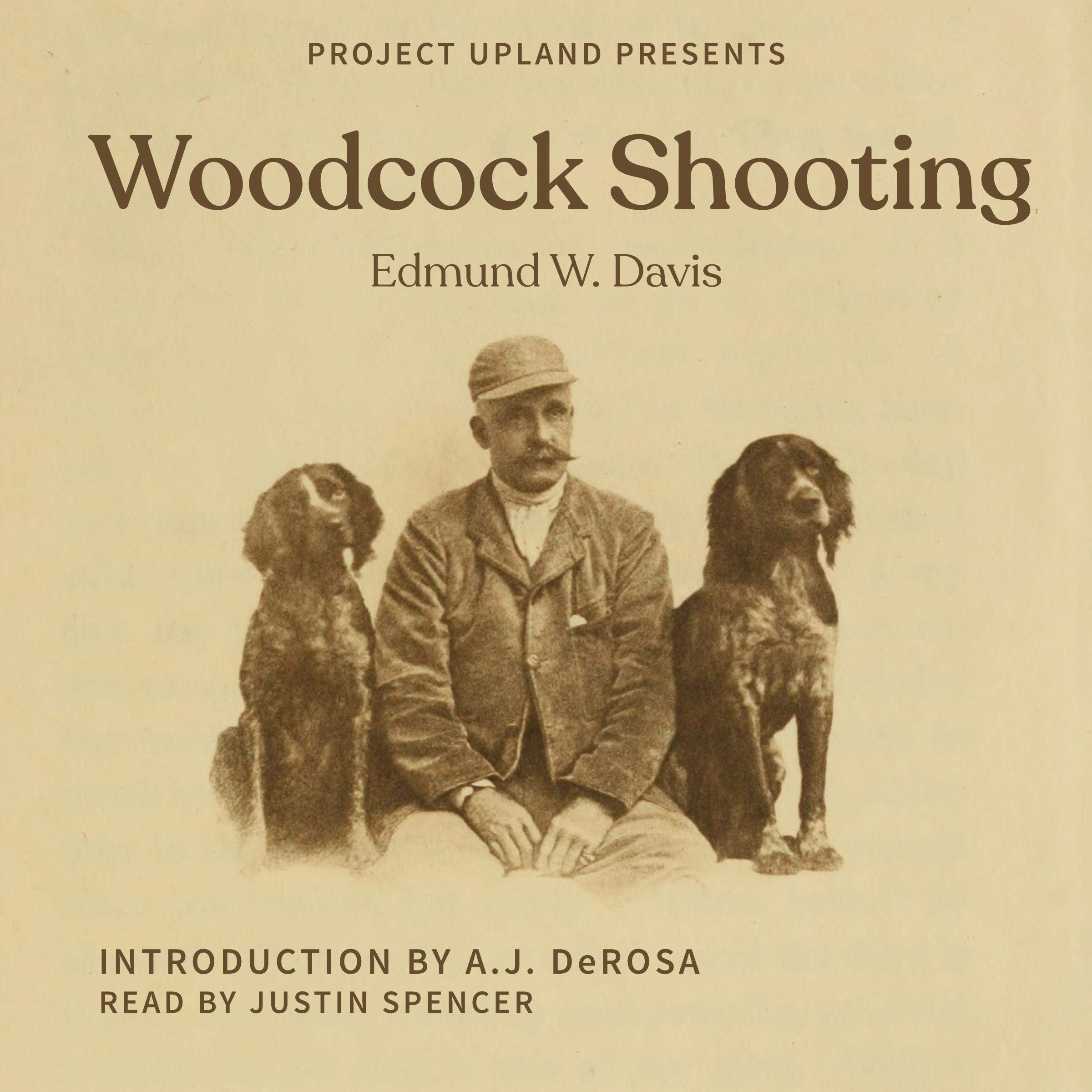 Woodcock Shooting