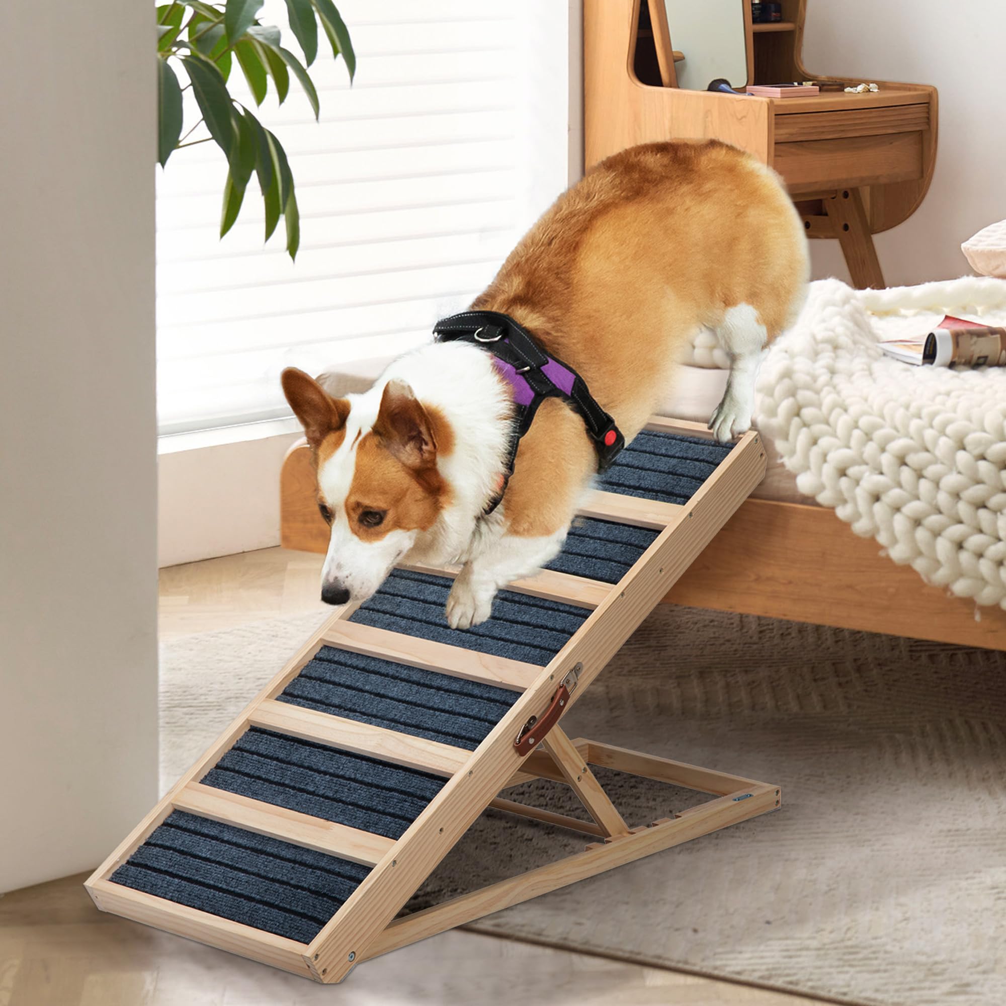 Hunderampe Klappbar aus Massivholz Höhenverstellbar mit abnehmbaren Anti-Rutsch-Leisten Für ältere Hunde & Katzen mit Mobilitätseingeschränkung Leicht & Tragbar für Auto, Sofa, Bett