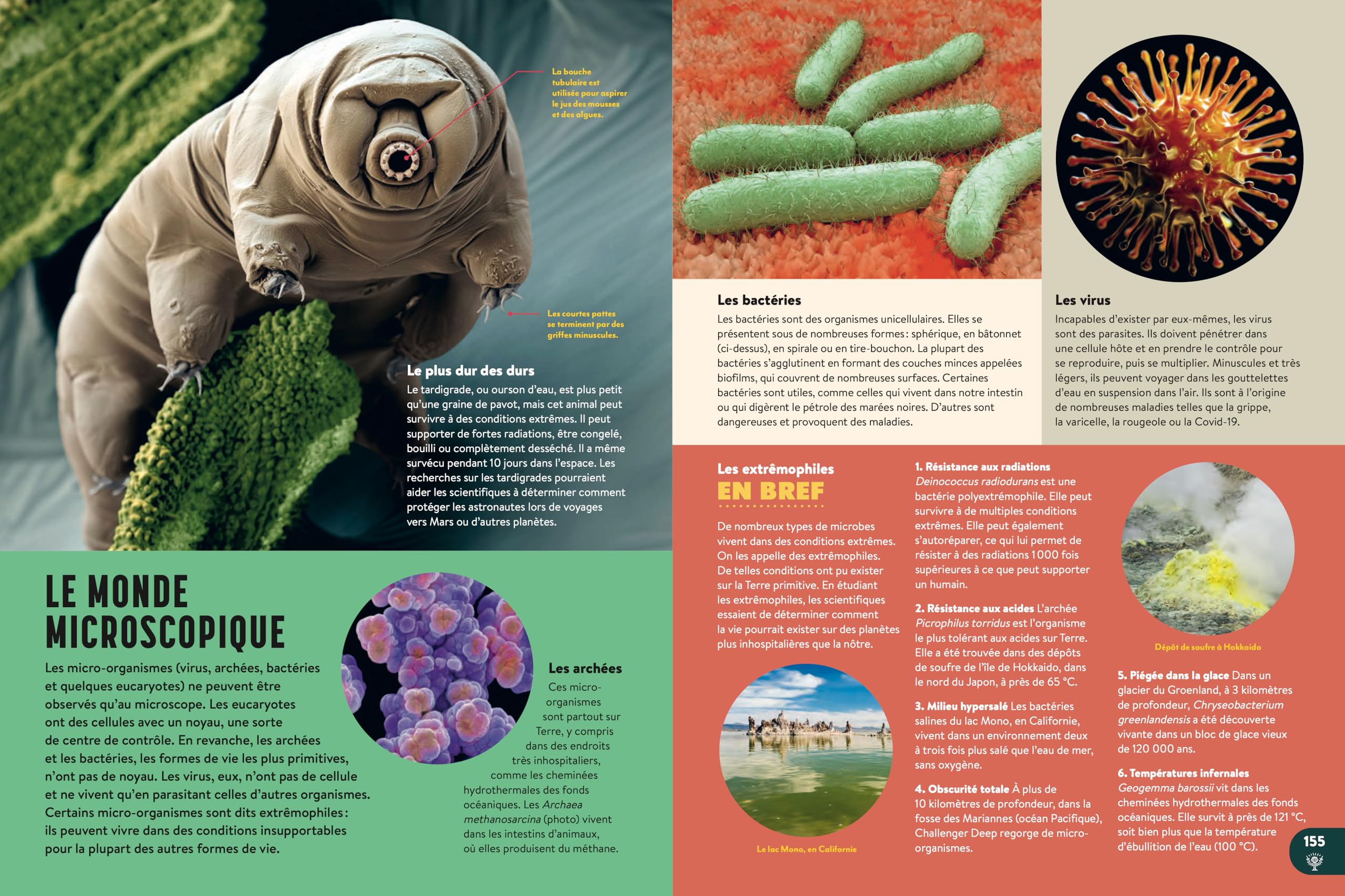 La nouvelle encyclopédie illustrée: Ce que nous savons & ce qu'il reste à découvrir