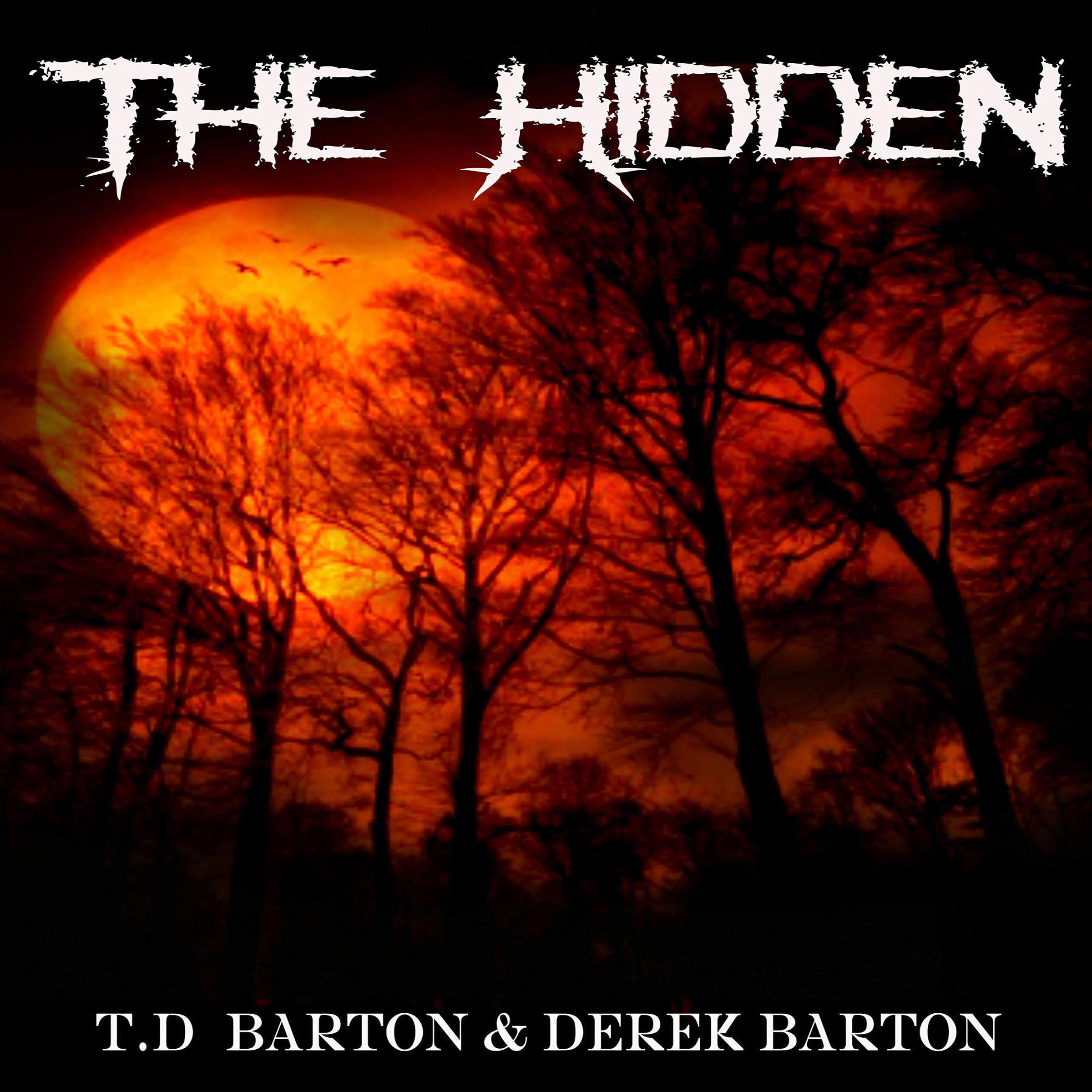 Cover art for The Hidden