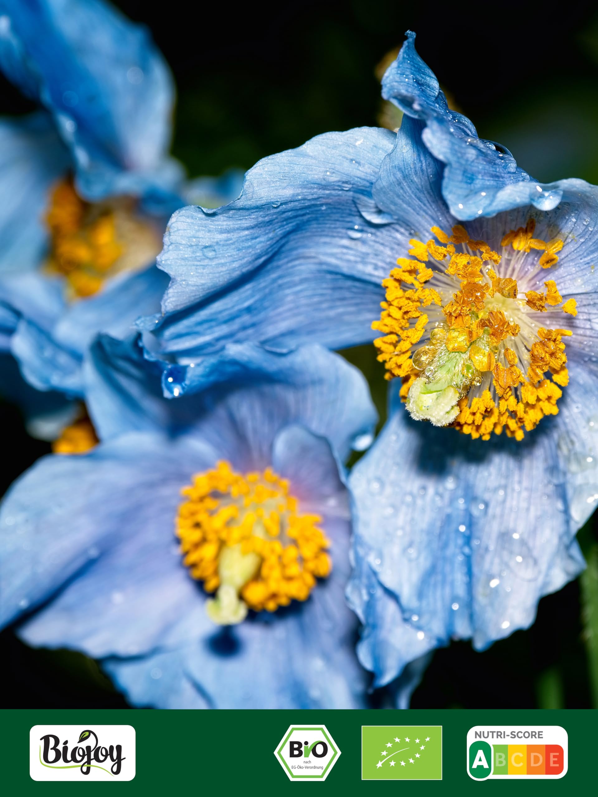 Biojoy Semillas de Amapola Azul Ecológicas (2 kg), crudas y enteras, sin aditivos