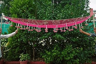 Dulhan ki Entry Chaddar | Bridal Entry Odhani Ceremony | Bridal Entry Phoolon ki Chunri with Stand for Wedding | Bridal Pulkari Blessing Gift for Christian/Punjabi/Hindu/Muslim Wedding