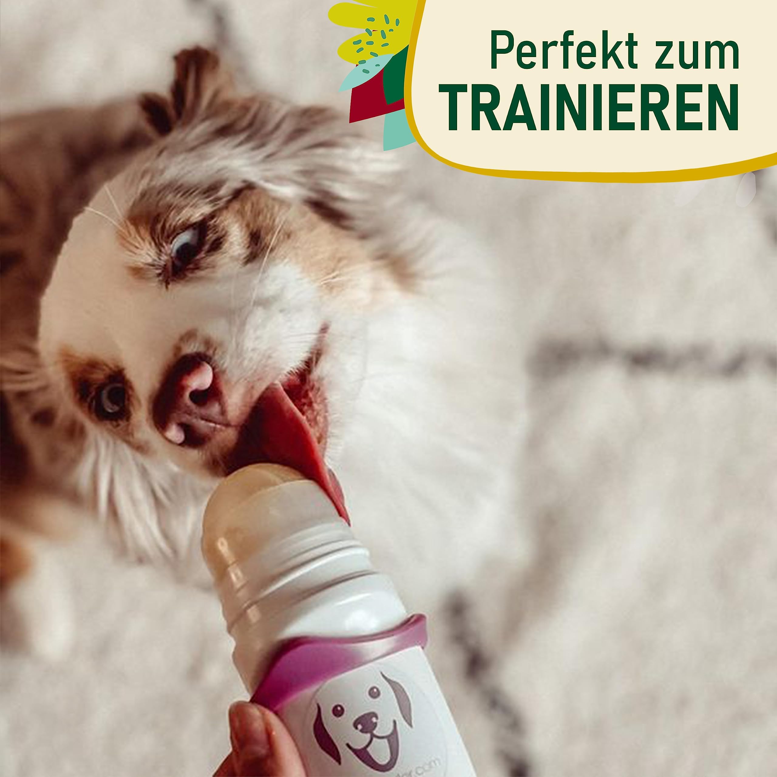 Hunde Smoothie SmoothieDog 6er Mix + Doggyroller m. Halter, Karabiner Rosa - je 1x: Huhn, Rind, Lamm, Ente, Immunio, Veggie - Flüssiges Hundeleckerli - Zucker- & glutenfrei - Zubehör Hund - je 250ml