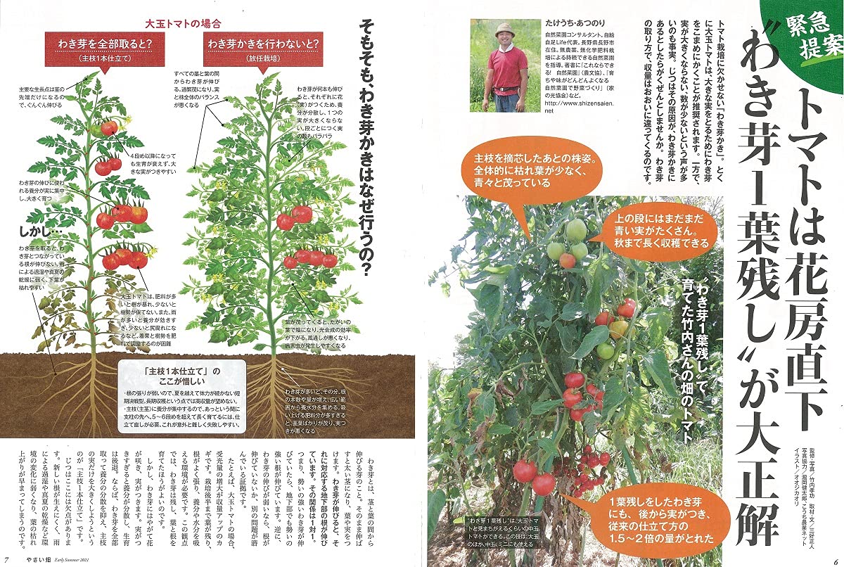やさい畑 初夏号 21年 6月号