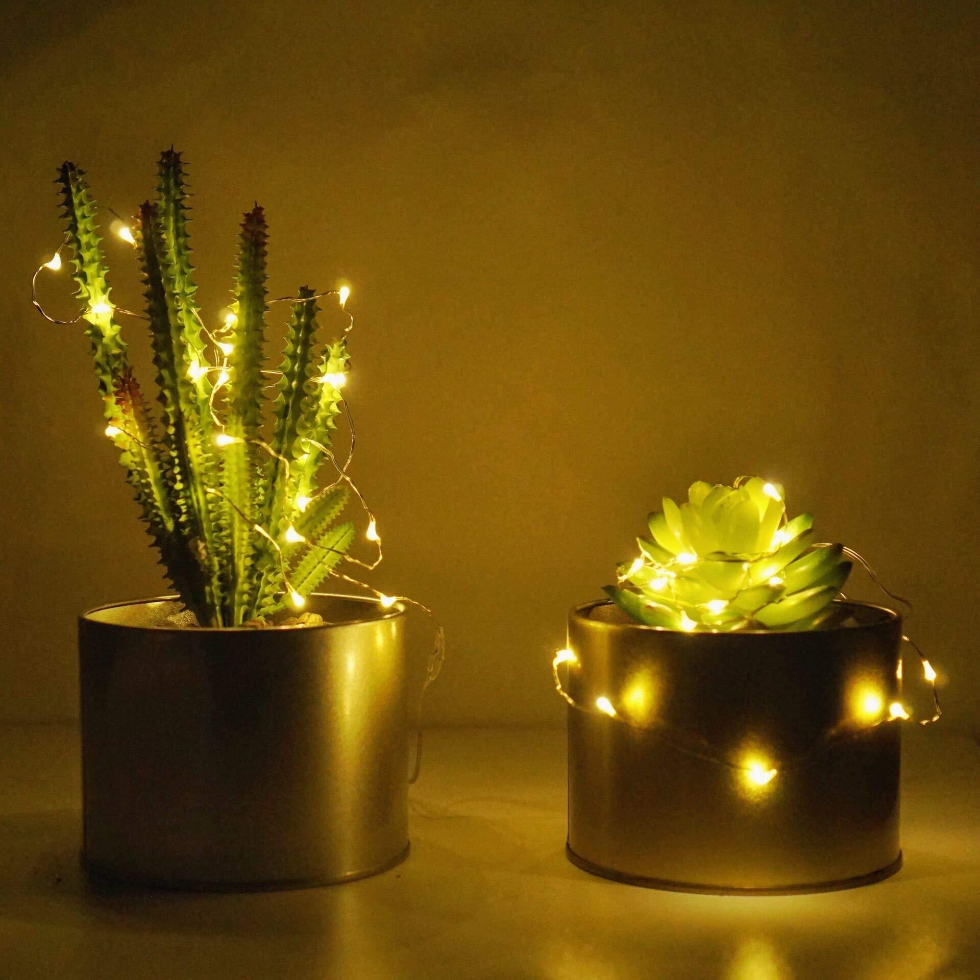 Paquete de 24 luces de hadas funcionan con pilas, 2 m, 20 luces LED de alambre plateado, luces estrelladas para bricolaje, bodas, fiestas, festivales, Halloween, Navidad (24, blanco cálido)
