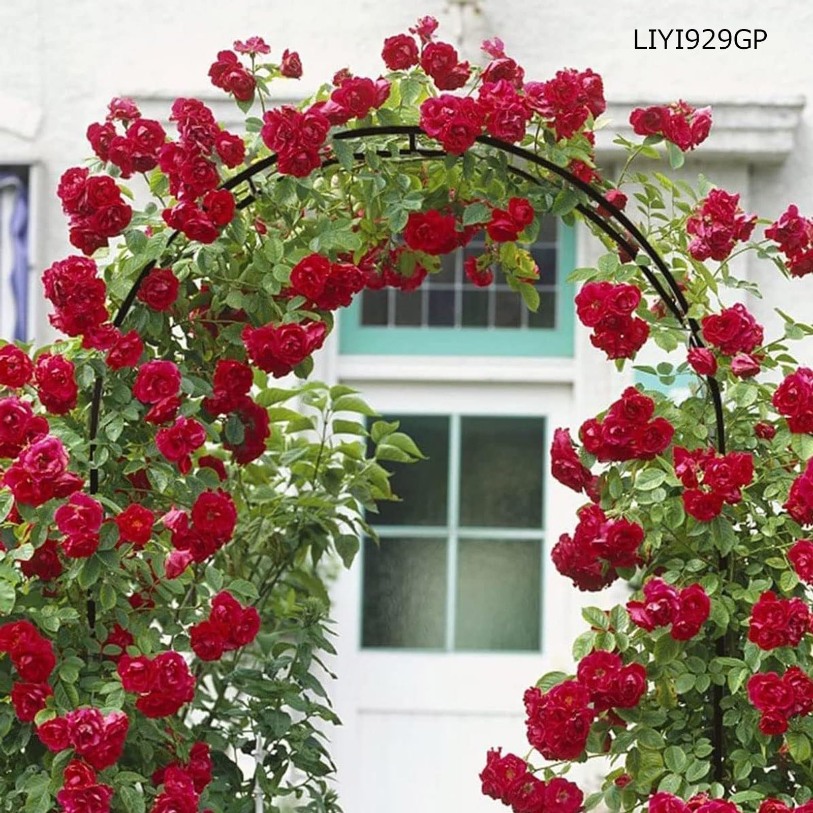 LIYI929GP ArcoDa Giardino, Supporto Piante Rampicanti, Stabile Pergole In Metallo, Decorazione Giardino, Garden Pergolas ArcoPer Rose Sostegno, 120/180/200/240/280/300cm Largo, Interni Ed Esterni