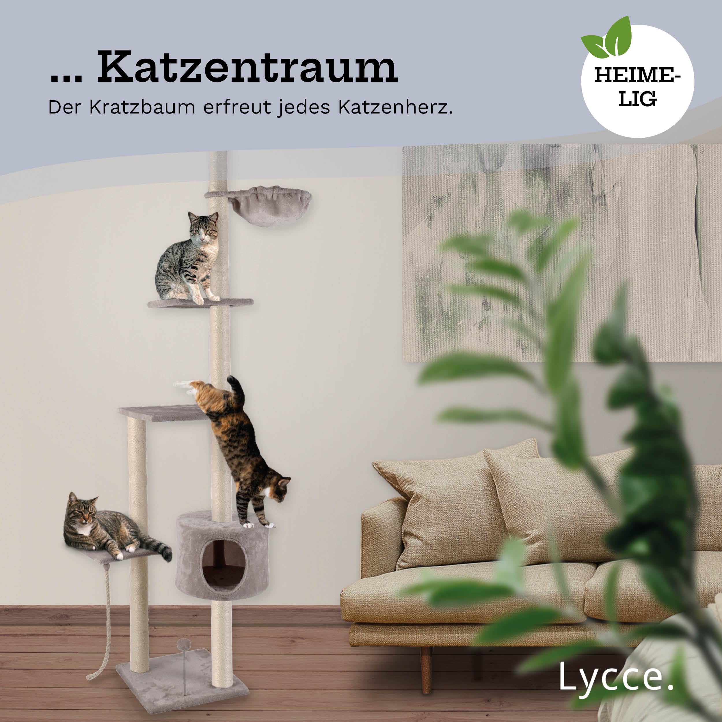 Roomdivider tot aan het plafond