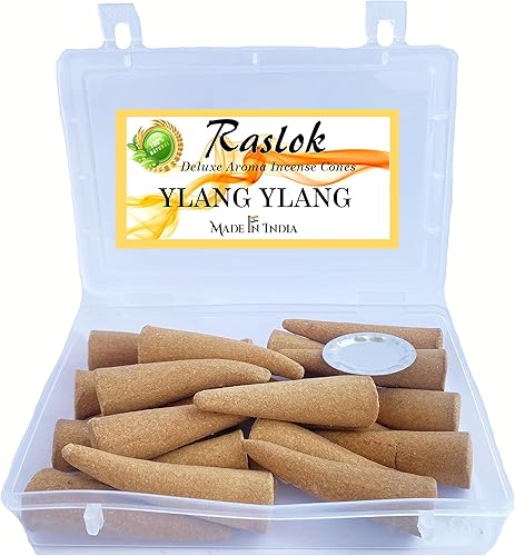 Conos de incienso 100% naturales y puros, hechos en casa, conos de mejores aromas sumergidos en el hogar (Ylang-Ylang, paquete de 20)