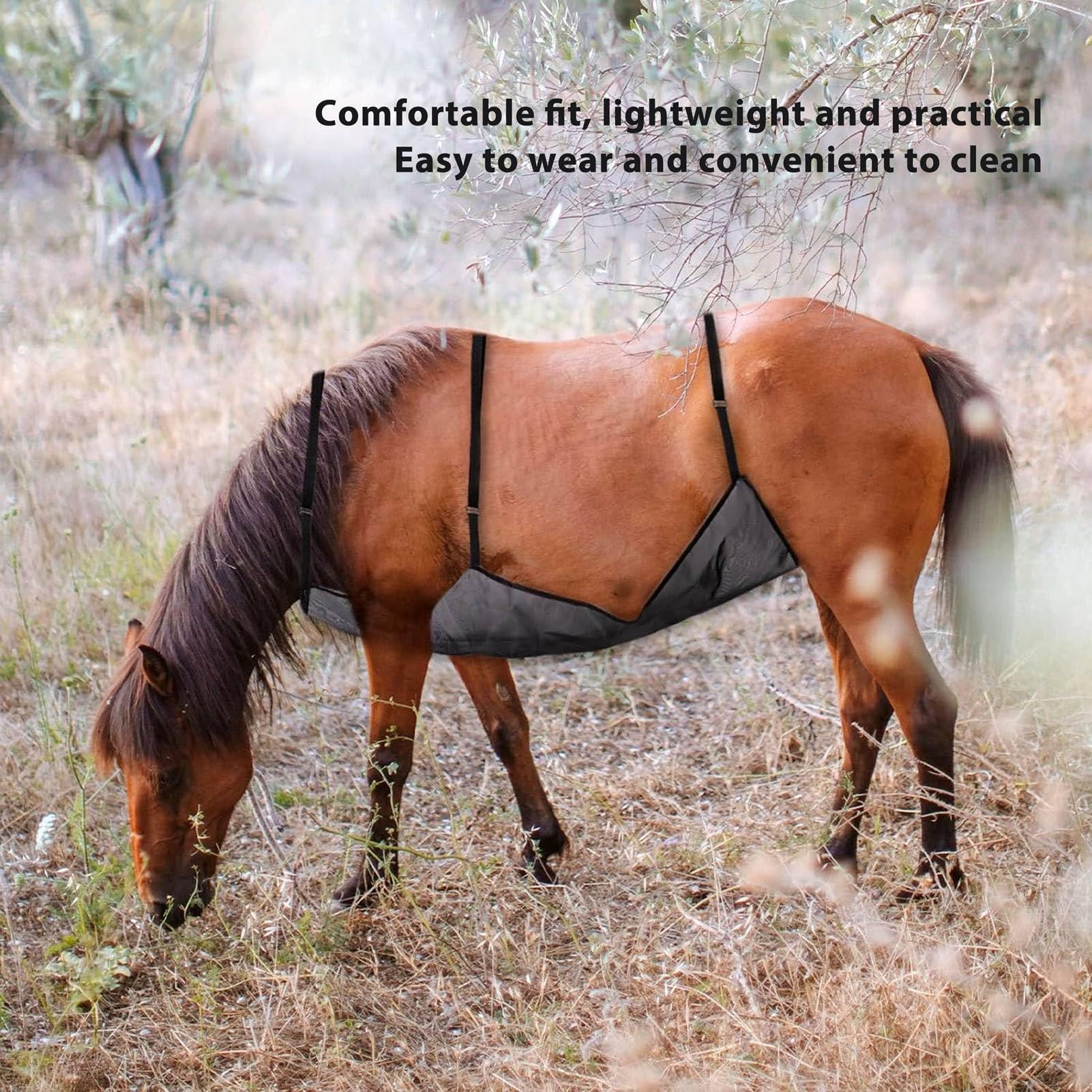 Gezondheid, voedingssupplementen voor een gezond paard