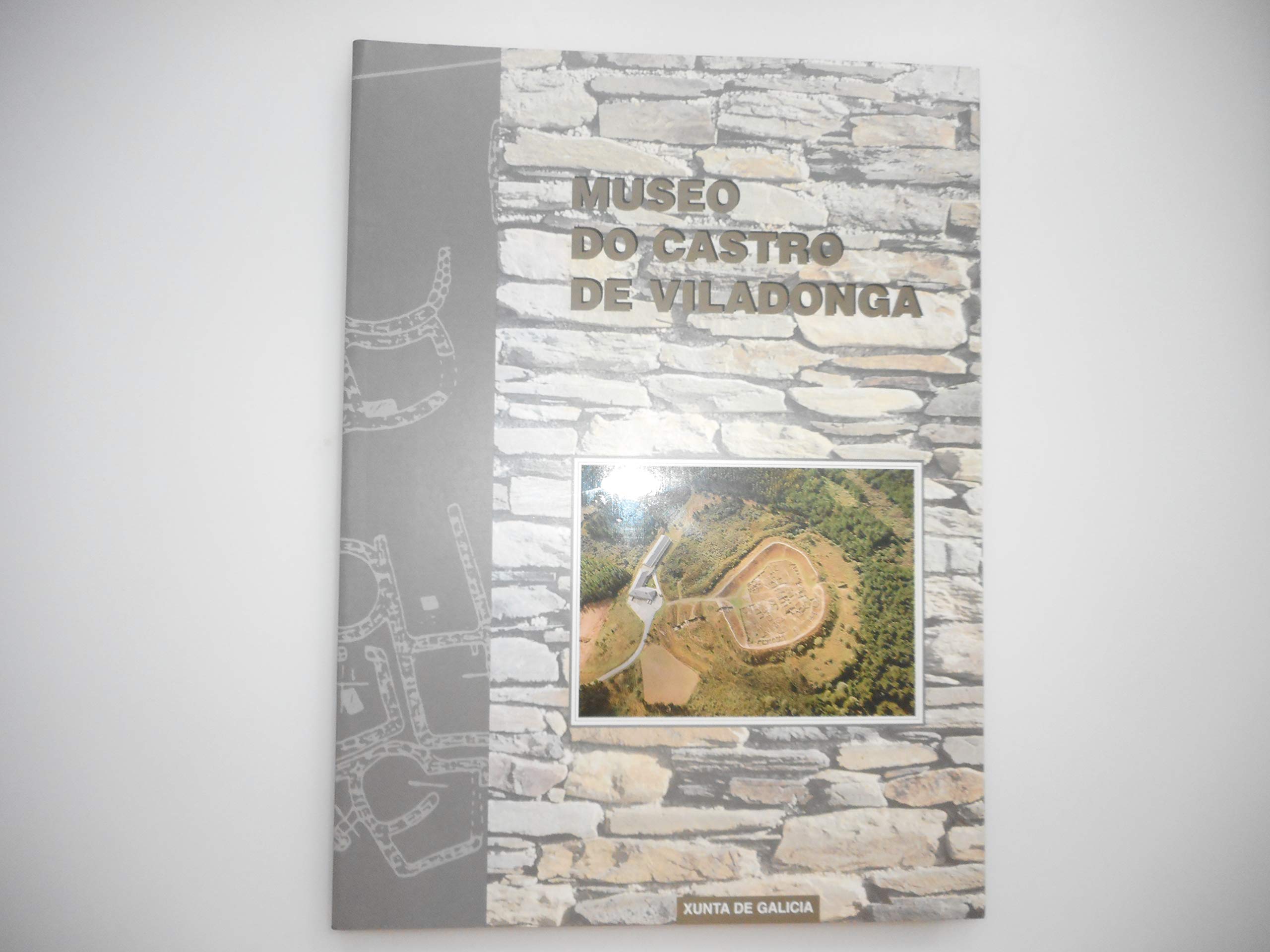 Museo do Castro de Viladonga, Castro de Rei, Lugo