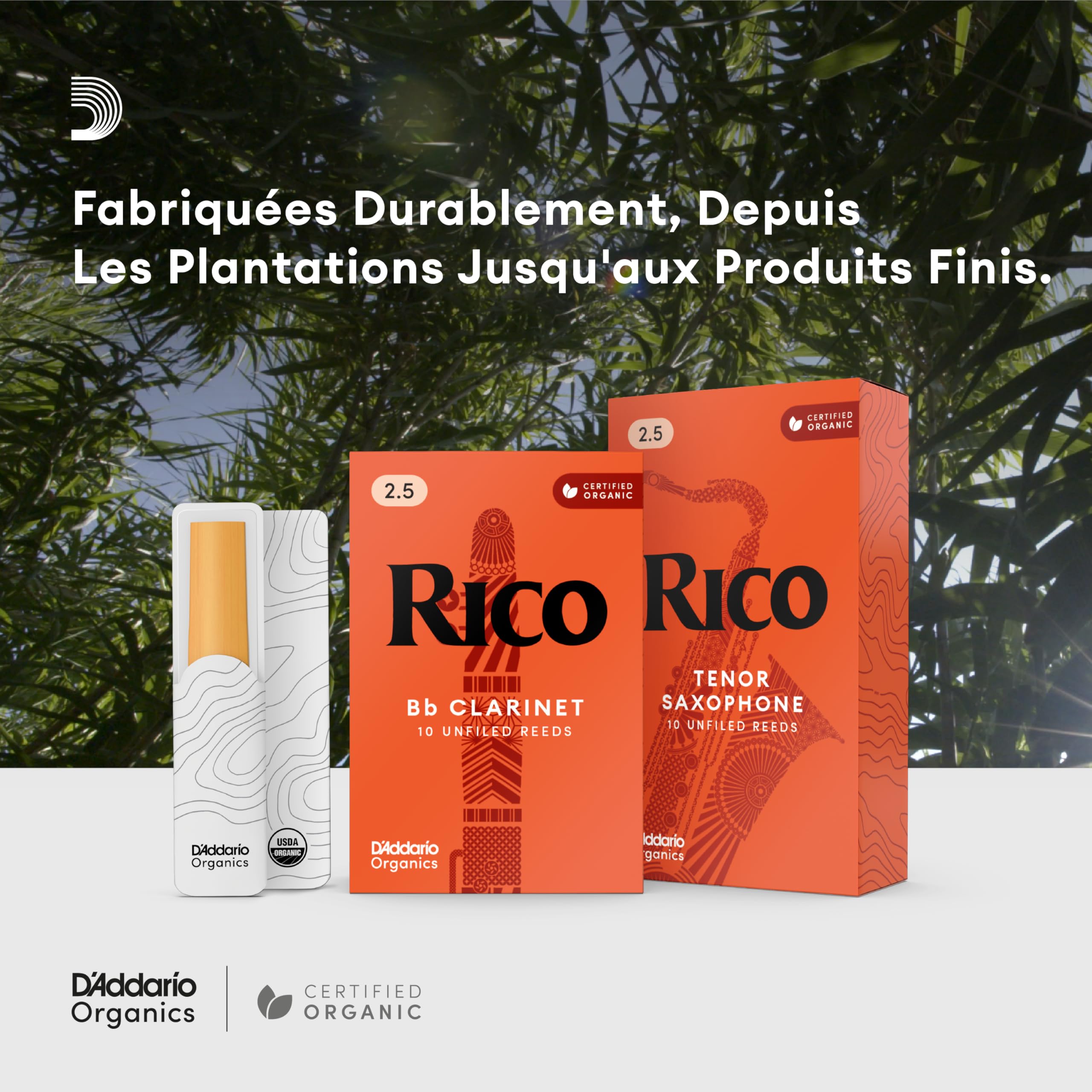 Rico Anches Rico pour saxophone baryton force 2.5 pack de 3