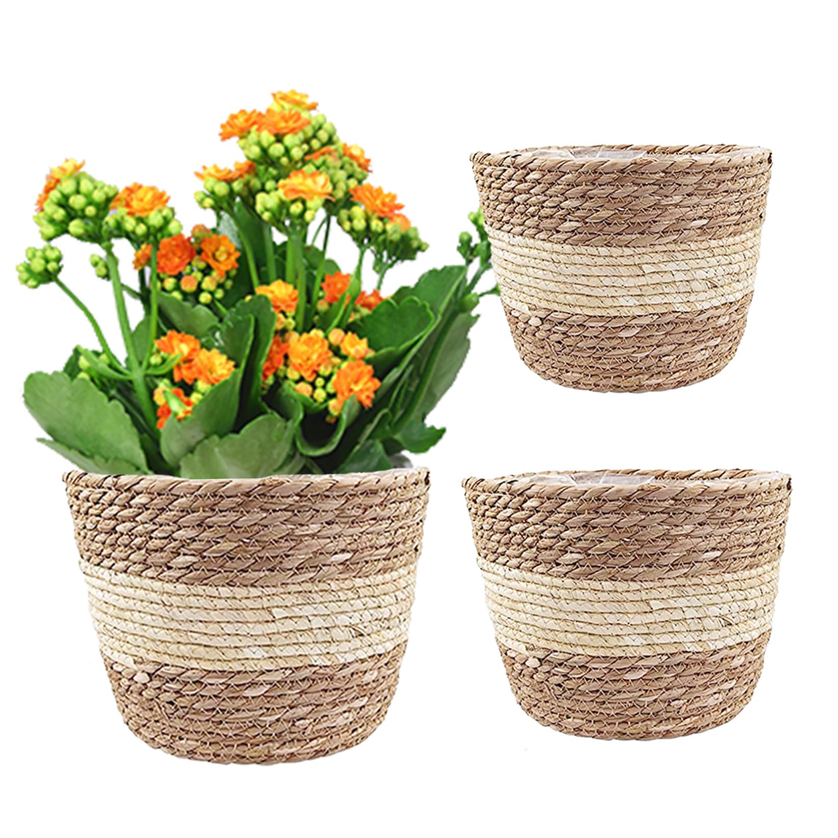 Wedhapy 3Pcs Seagrass Planter Basket Woven Plant Pot Storage Basket Flower Pots Cover For Indoor Outdoor Decor Seagrass Planter Basket Woven Plant Pot Woven Plant Basket Flower Pot Container