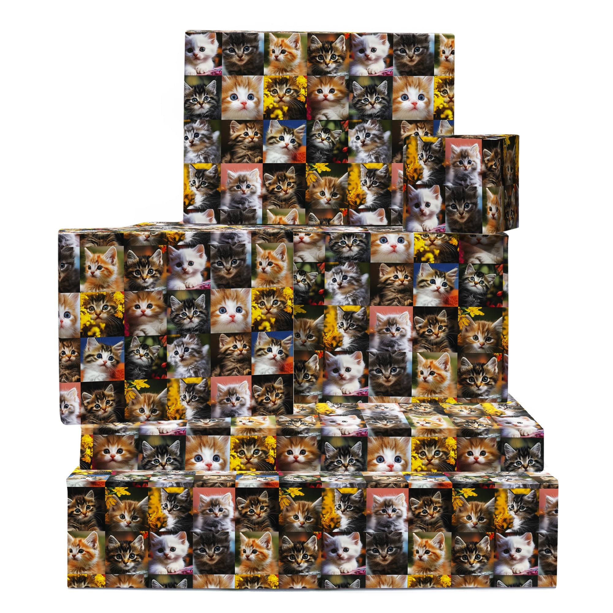 Fun Cute Wrapping Paper - Kittens, Photo Style - 6 Sheets of Giftwrap for All Ages Family Friends - All Occasion Birthday - Comes With Stickers by Central 23