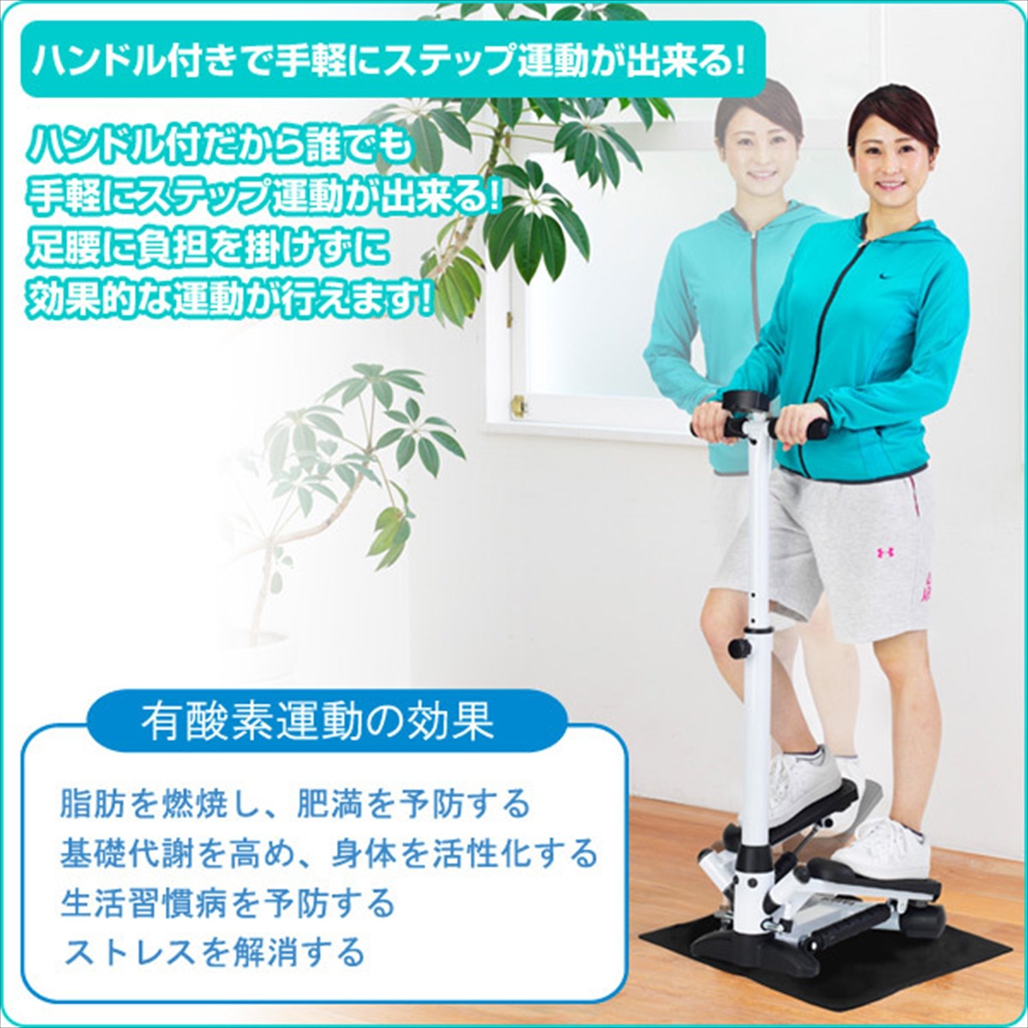 Amazon | アルインコ(ALINCO) ハンドル付ステッパー FA4016 保護マット 