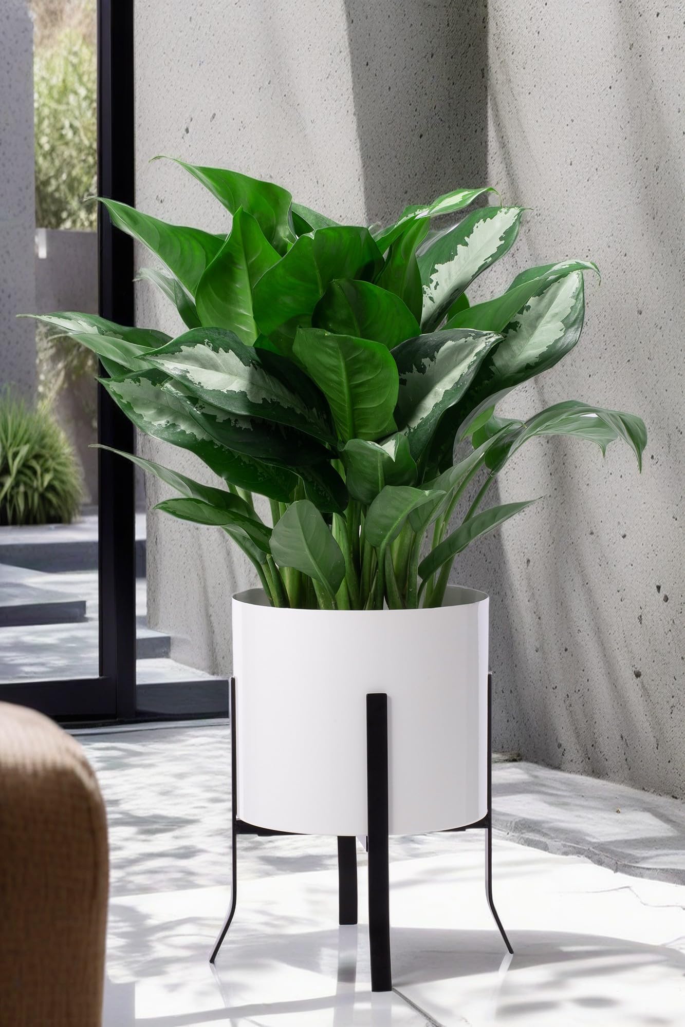 Emmering Black Smith Plant Stand Indoor Outdoor (Plant Pot Not Included) - Adjustable Size Fits 8,9,10,11,12 inches Flower Pots (Black) (B08GR8F7ZB) Amazon Price History, Amazon Price Tracker