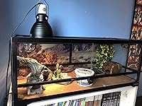 Review Image by K. B. K. B.