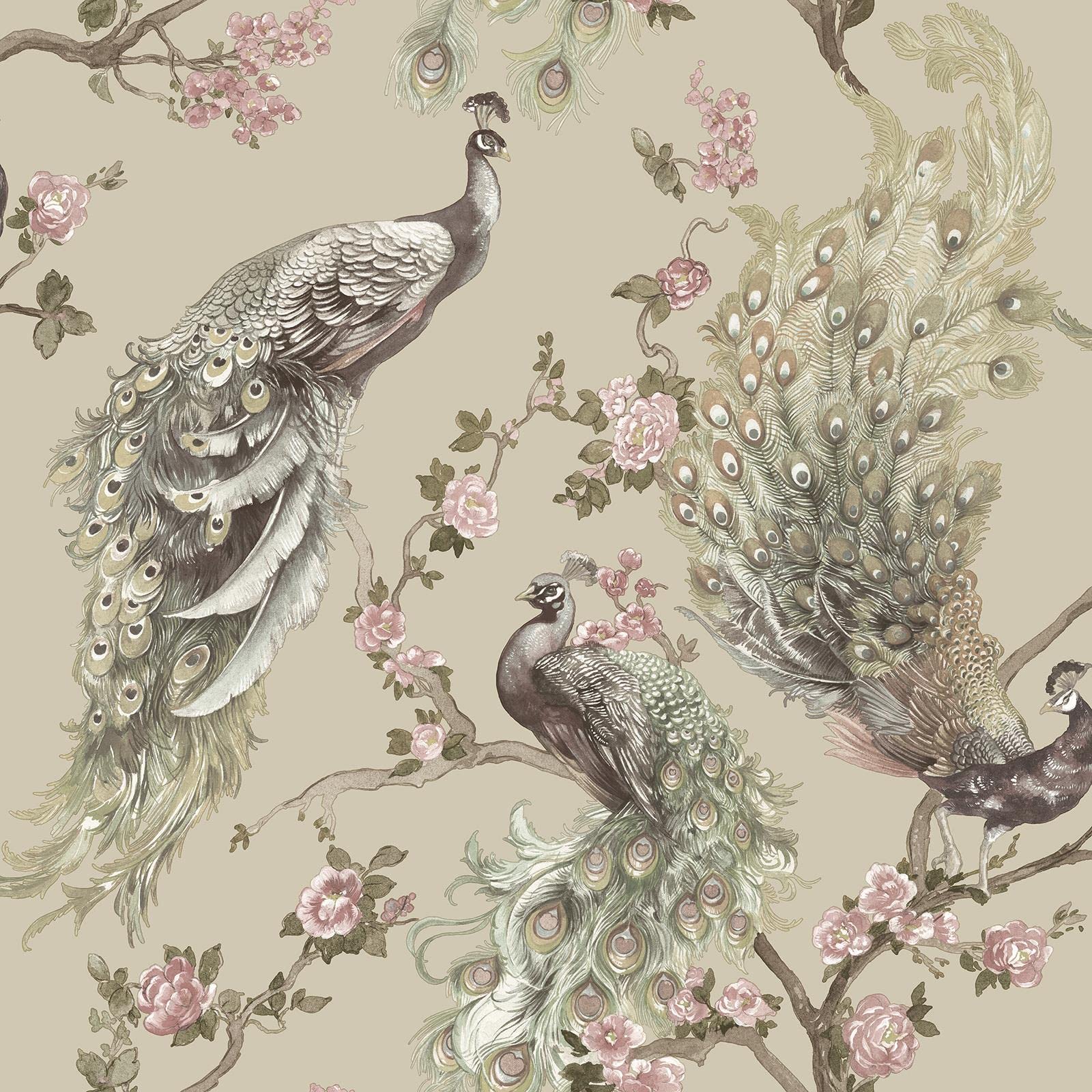Holden Menali Peacock Glitter Wallpaper Exotic Bird Beige 36271