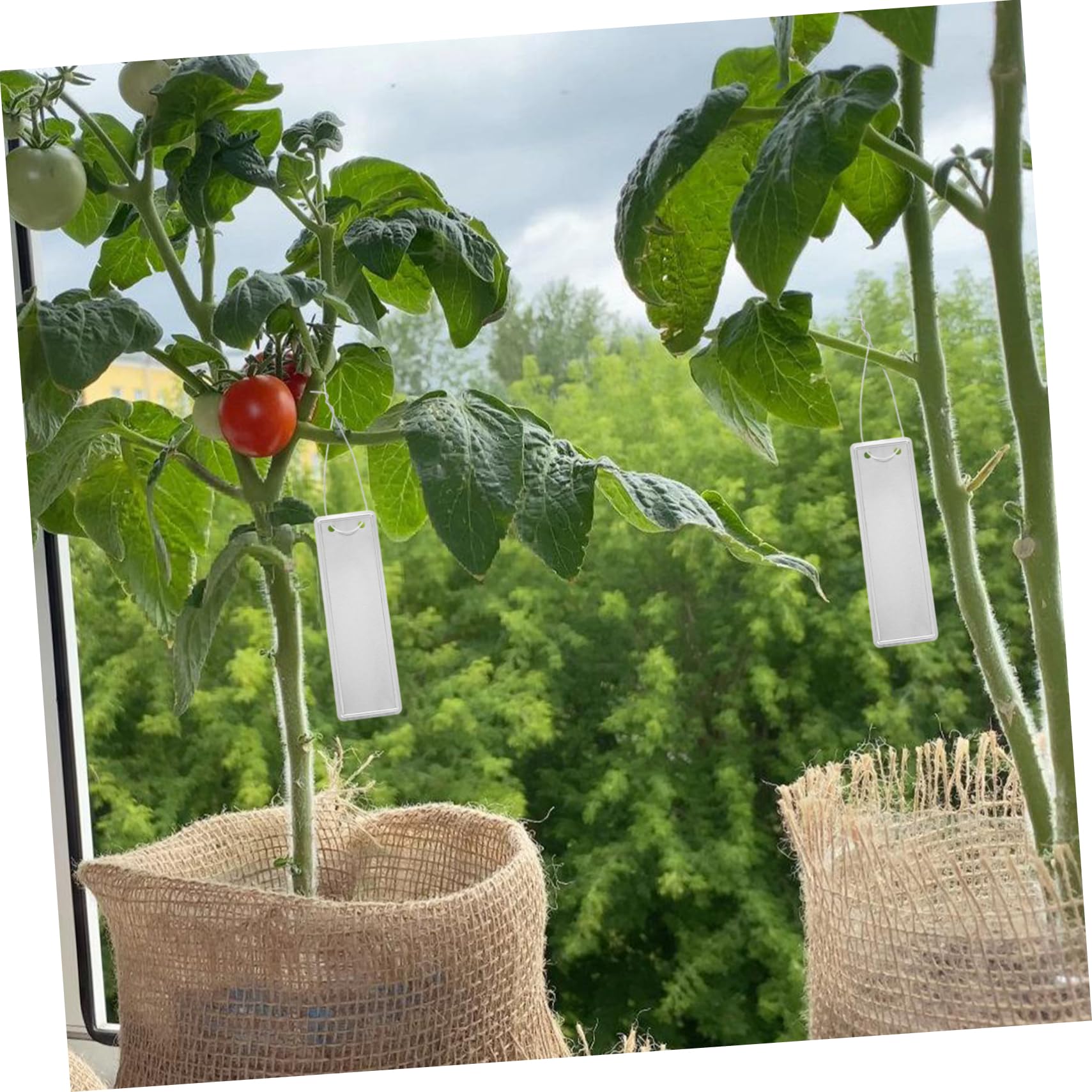 SUPVOX 5 Ensembles Étiquettes Rondes En Aluminium D'Art Étiquette De Plante Étiquettes De Jardin Étiquettes De Plantes Pour es D'Extérieur Étiquettes Pour es 50 pièces * 5