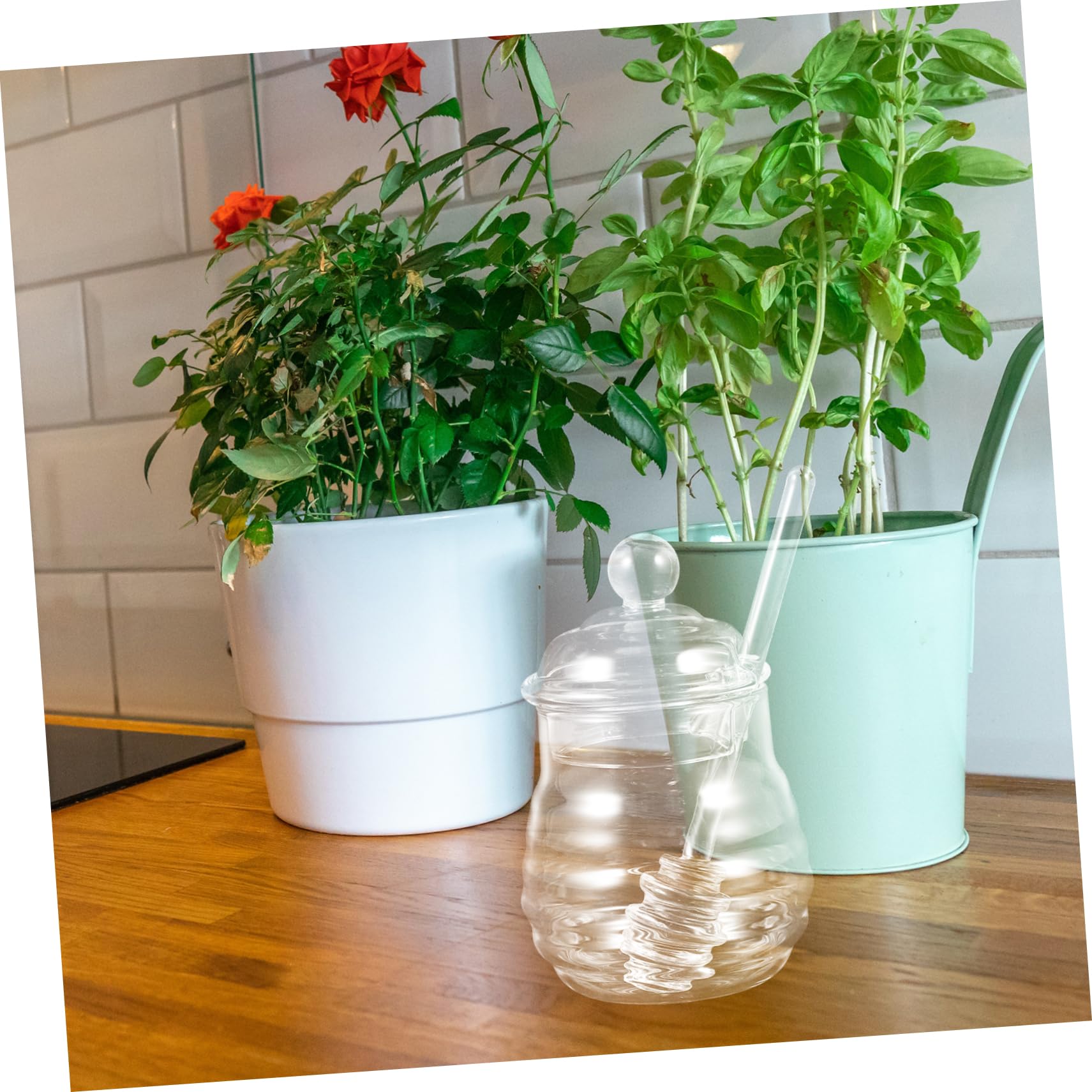 HOLIDYOYO Honey Jars Kitchen Storage Containers Clear Jars Honey Dippers Yogurt Jars Honey Bear Bottle Containers for Fruit Honey Storage Container Honeypot Honey Pot with Dipper re-usable