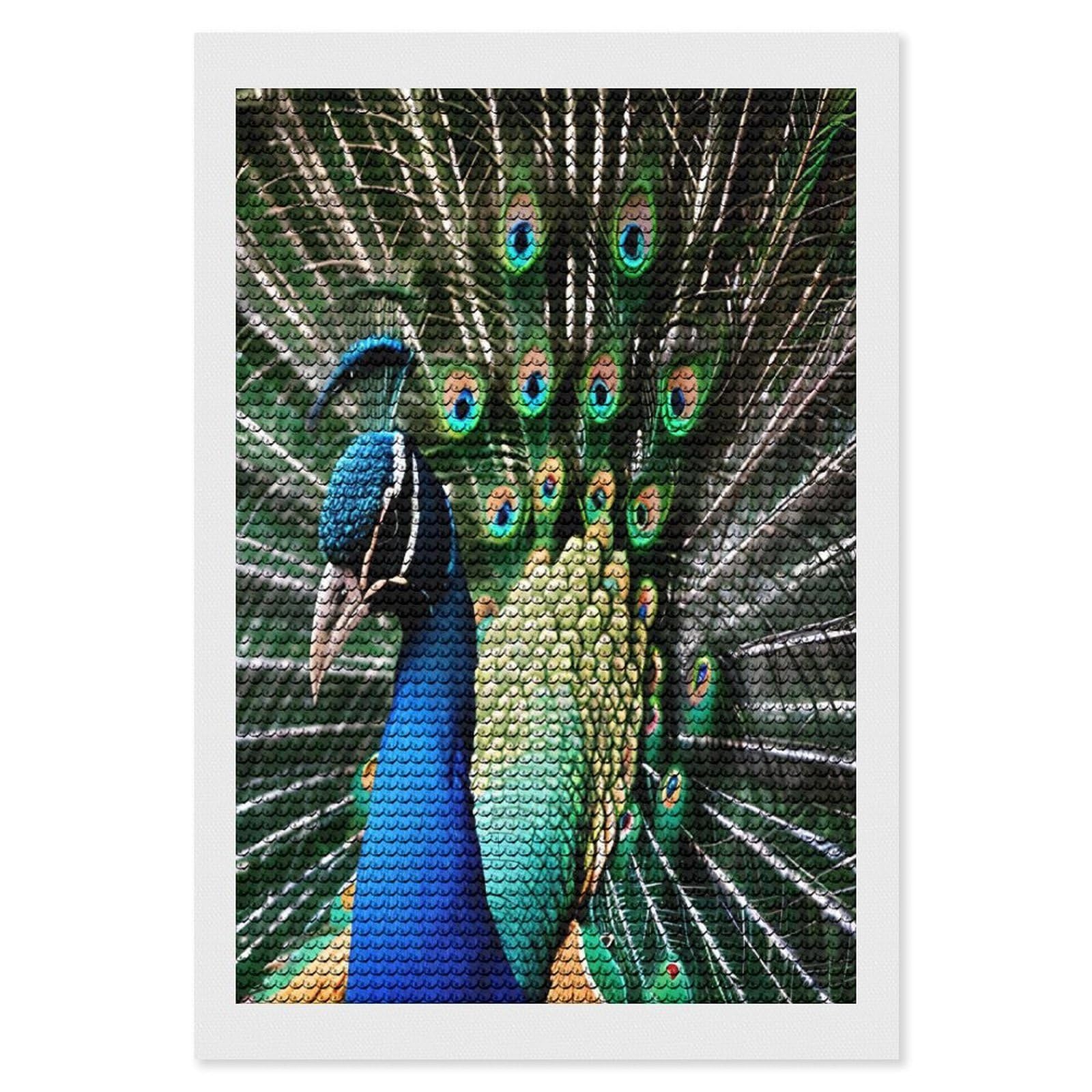VstaDank Peacock Diamond Painting Kits Exquisite DIY Full Round Drill Diamond Dots Painting for Adults Beginner Diamond Photo Paint with Diamond Picture Art Wall Decor 8"x12"