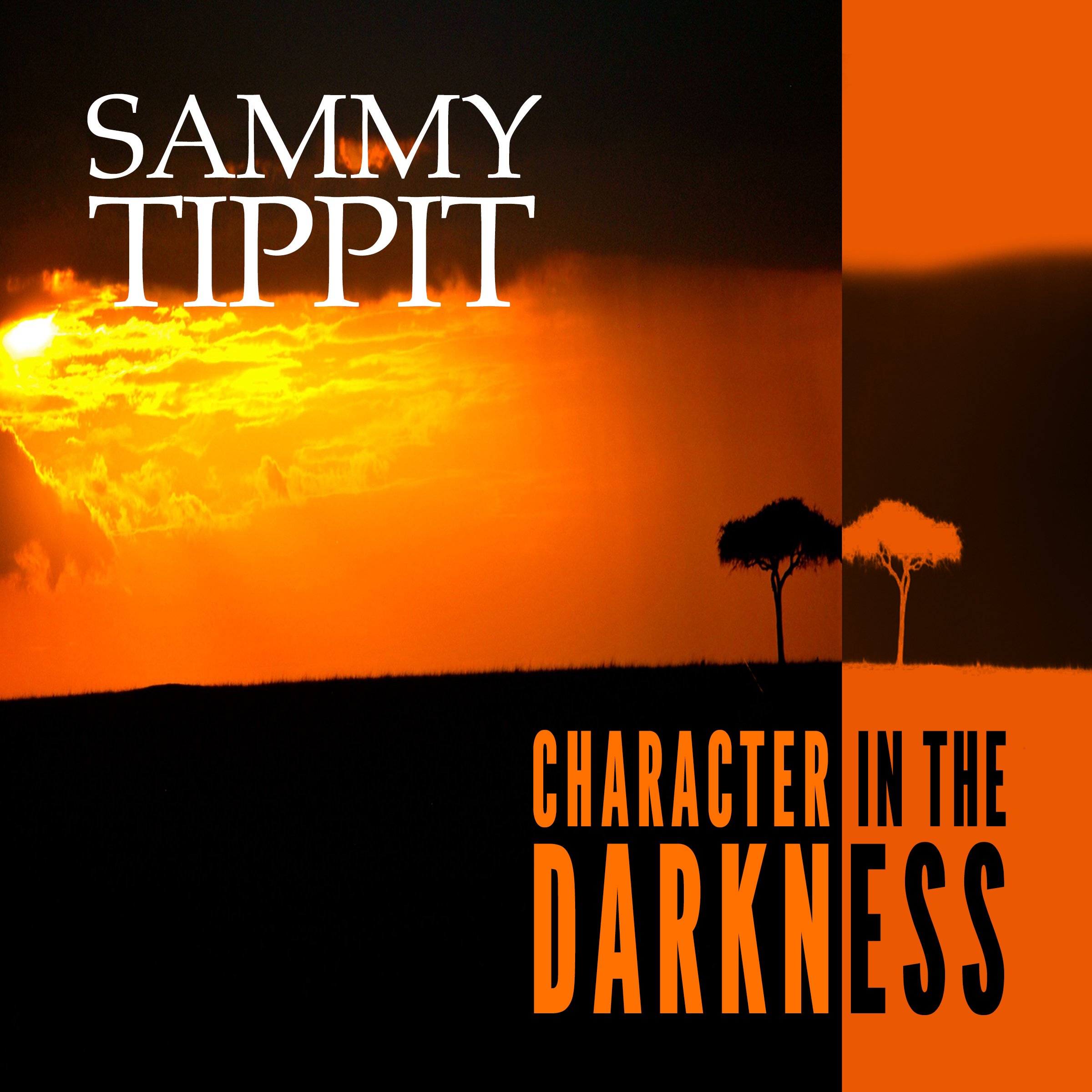 Character in the Darkness