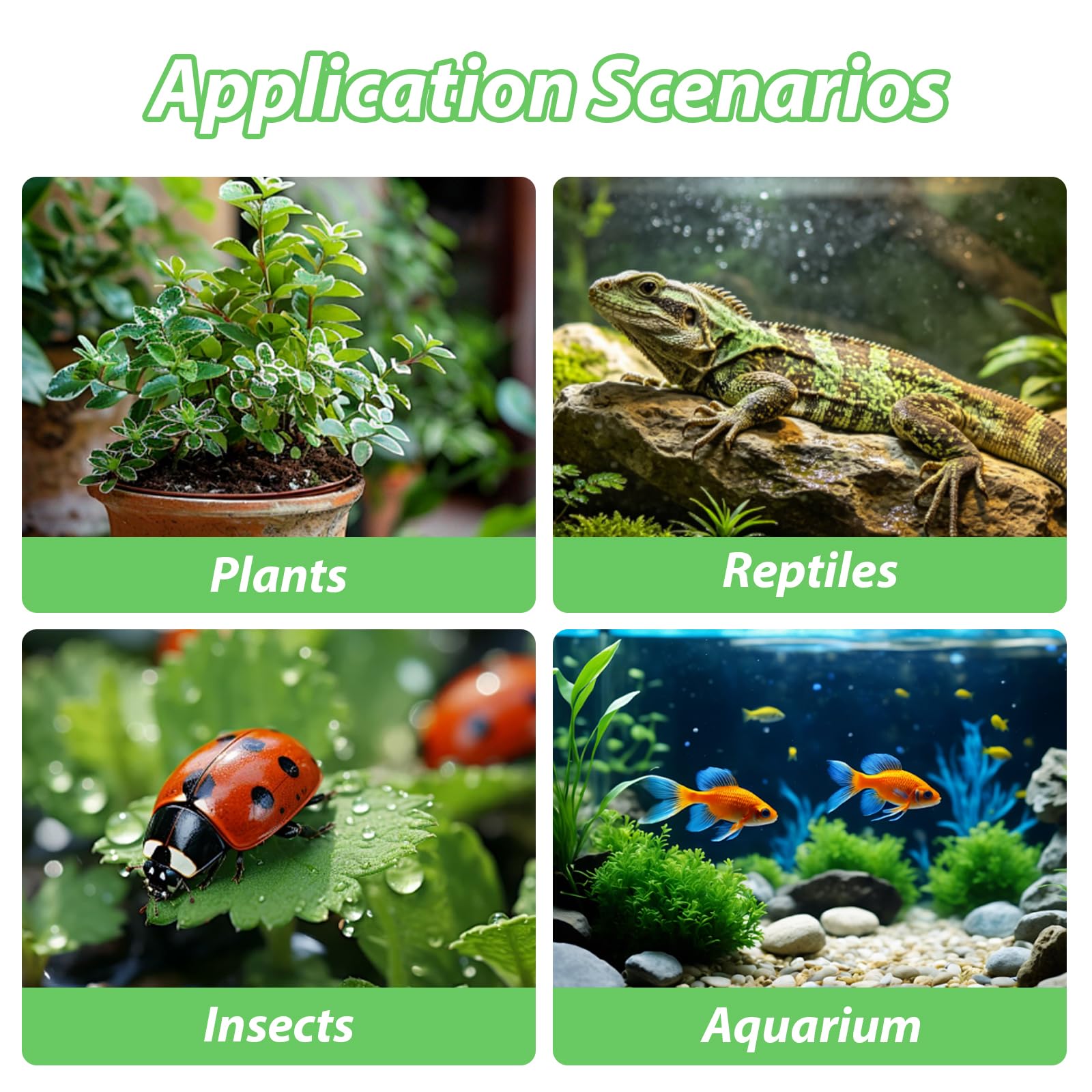 Impianto di irrigazione per terrario, umidificatore intelligente per rettili, con timer e ugelli di spruzzo, regolabile a 360°, per terrario, foresta pluviale, terrari, anfibi, rettili