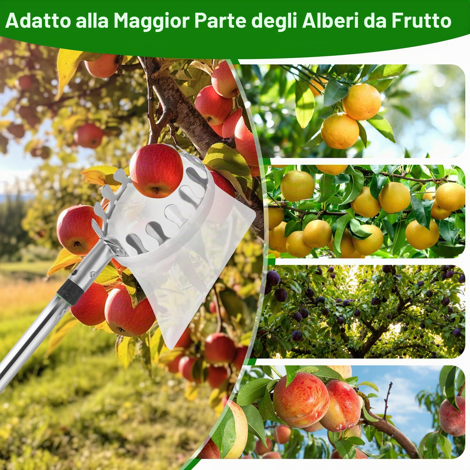 Raccoglifrutta, Raccoglimele, 4M Aiuto per la Raccolta della Frutta, Raccoglifrutta Facile da Montare, Raccoglifrutta, Raccoglitrice di Ciliegie per pere, agrumi, Arance, Diametro 16 cm