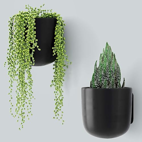 Bees & Buds Macetas de pared para plantas de interior, maceta para suculentas para colgar en la pared, decoración de pared, soporte para colgar disponible en Yaxa El Salvador