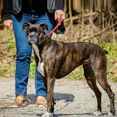 Miniatura 6 de LOS ANDES Collar de cabeza de perro para dejar de tirar de la correa, collar para la cabeza para perros, ayuda de entrenamiento profesional para