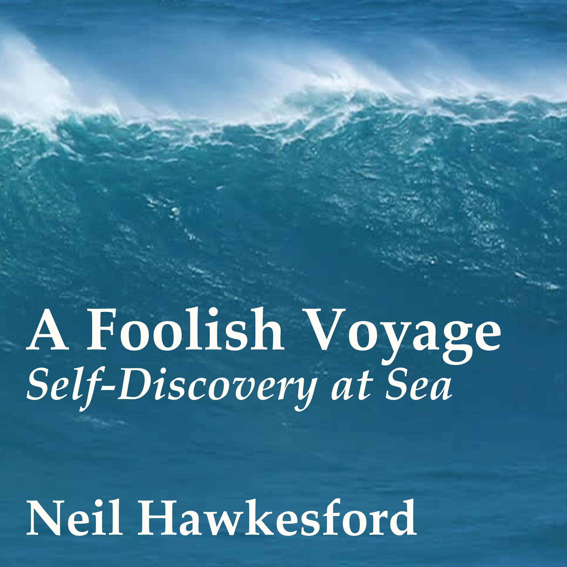 Cover art for A Foolish Voyage