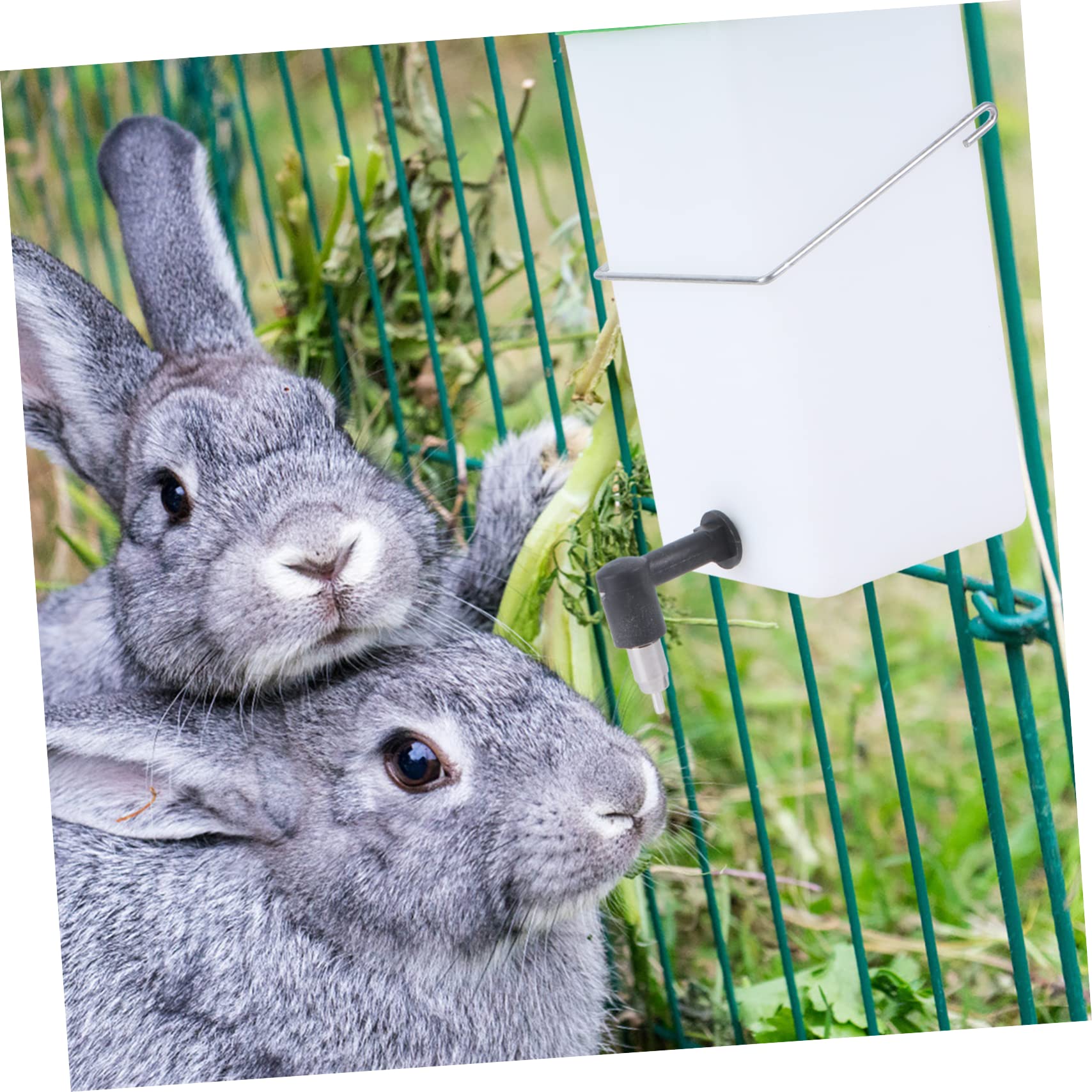 POPETPOP 3piezas Comedero Automático De Agua para Conejos Bebedero De Plástico Fuente De Agua para Jaula Diseño Sin Goteo y De Limpiar para Conejos y Animales